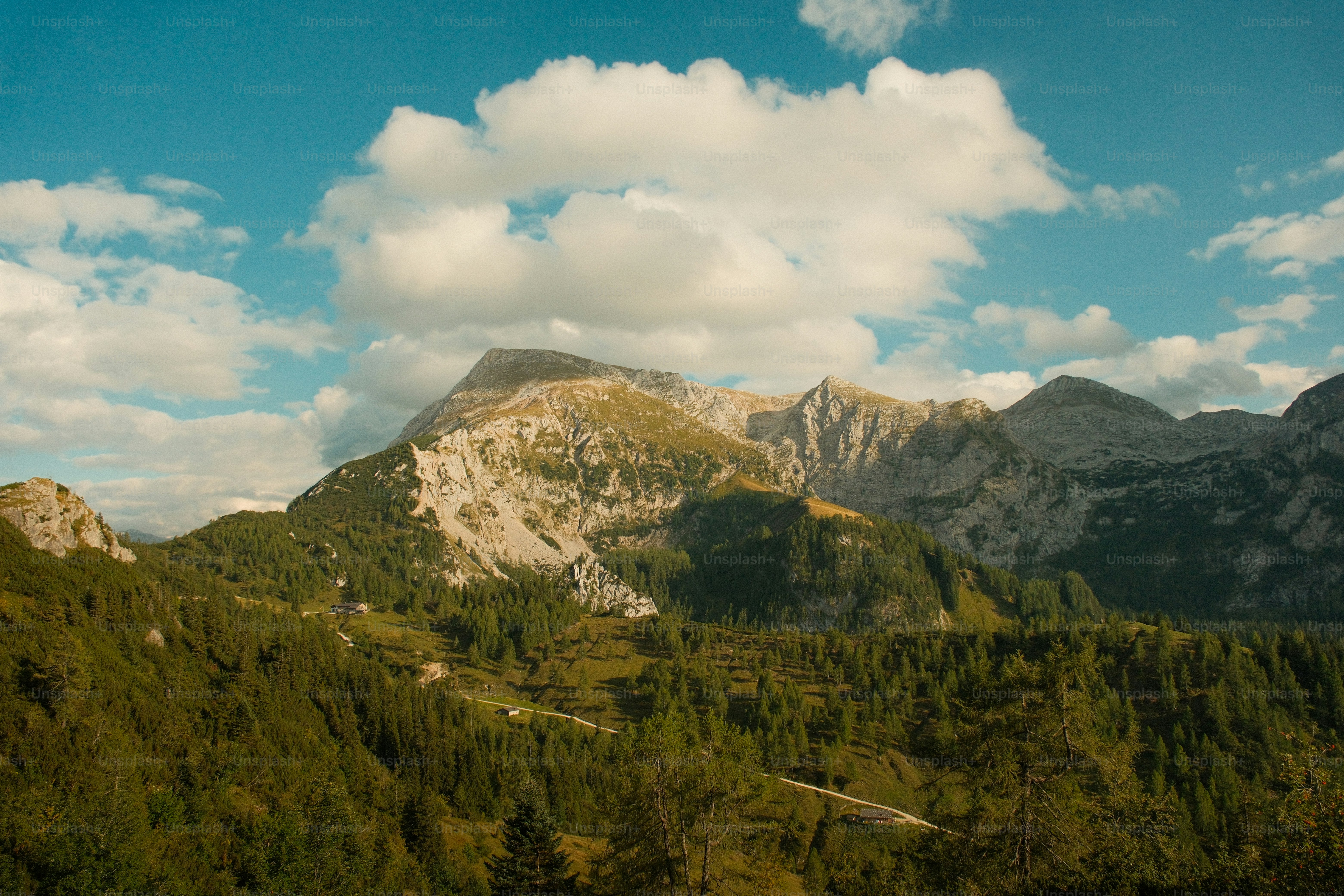 Rocky mountain peaks rising above a dense forest of pine trees under clouds