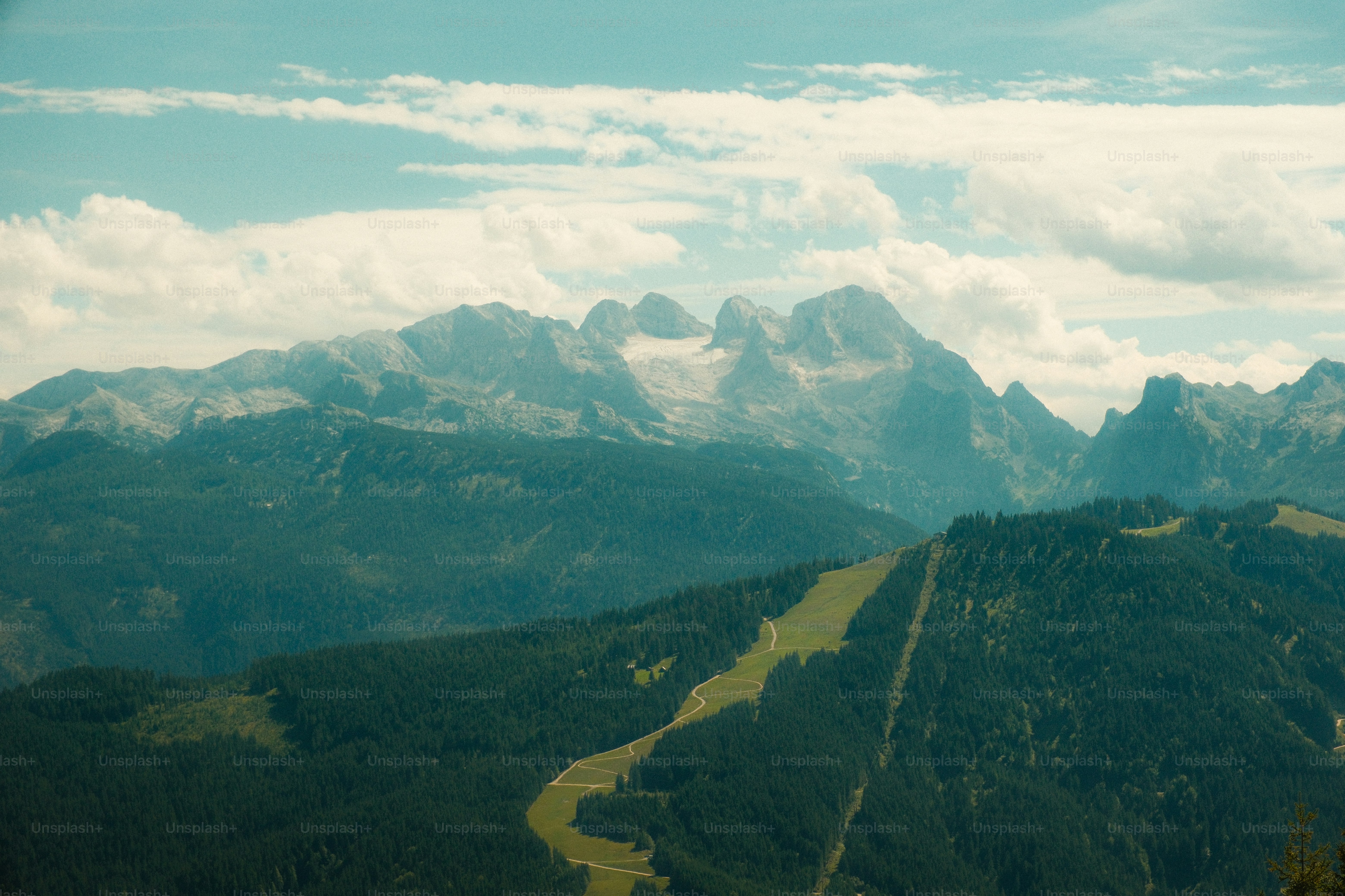 A winding path through a dense pine forest below jagged snow-capped mountain peaks