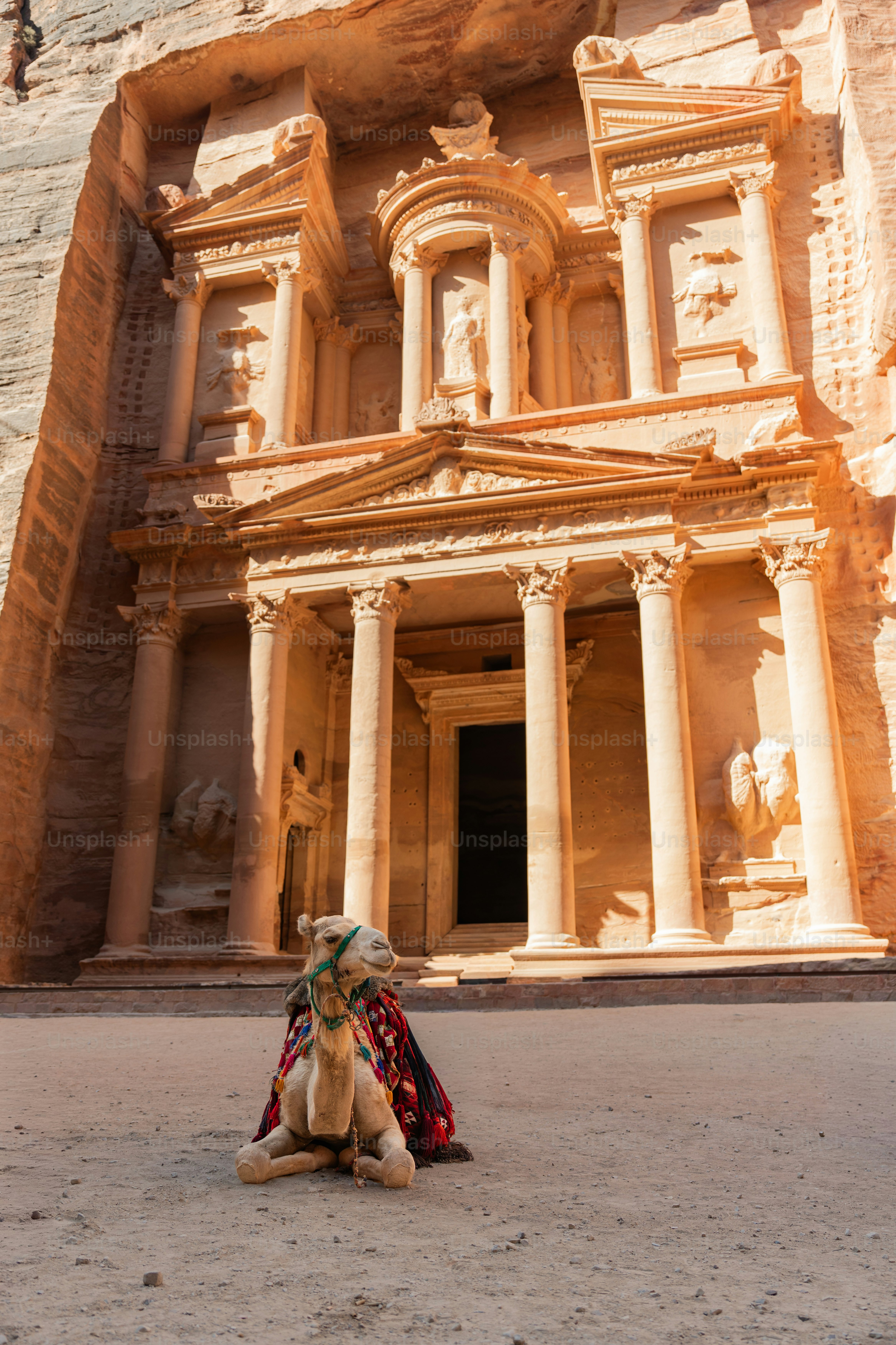 A camel with a colorful saddle resting before the Treasury in Petra, Jordan