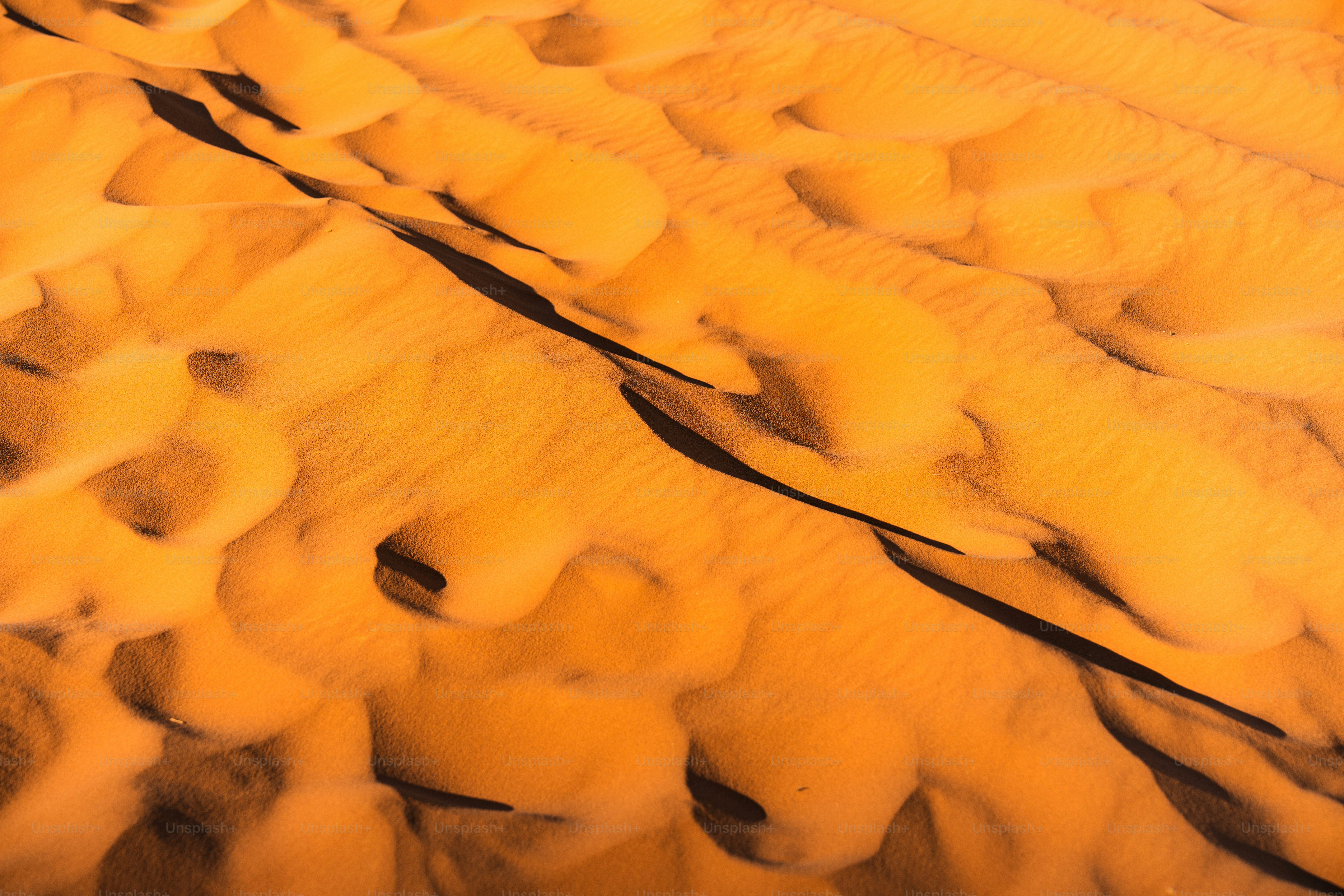 Orange sand dunes with long shadows in Wadi Rum, Jordan