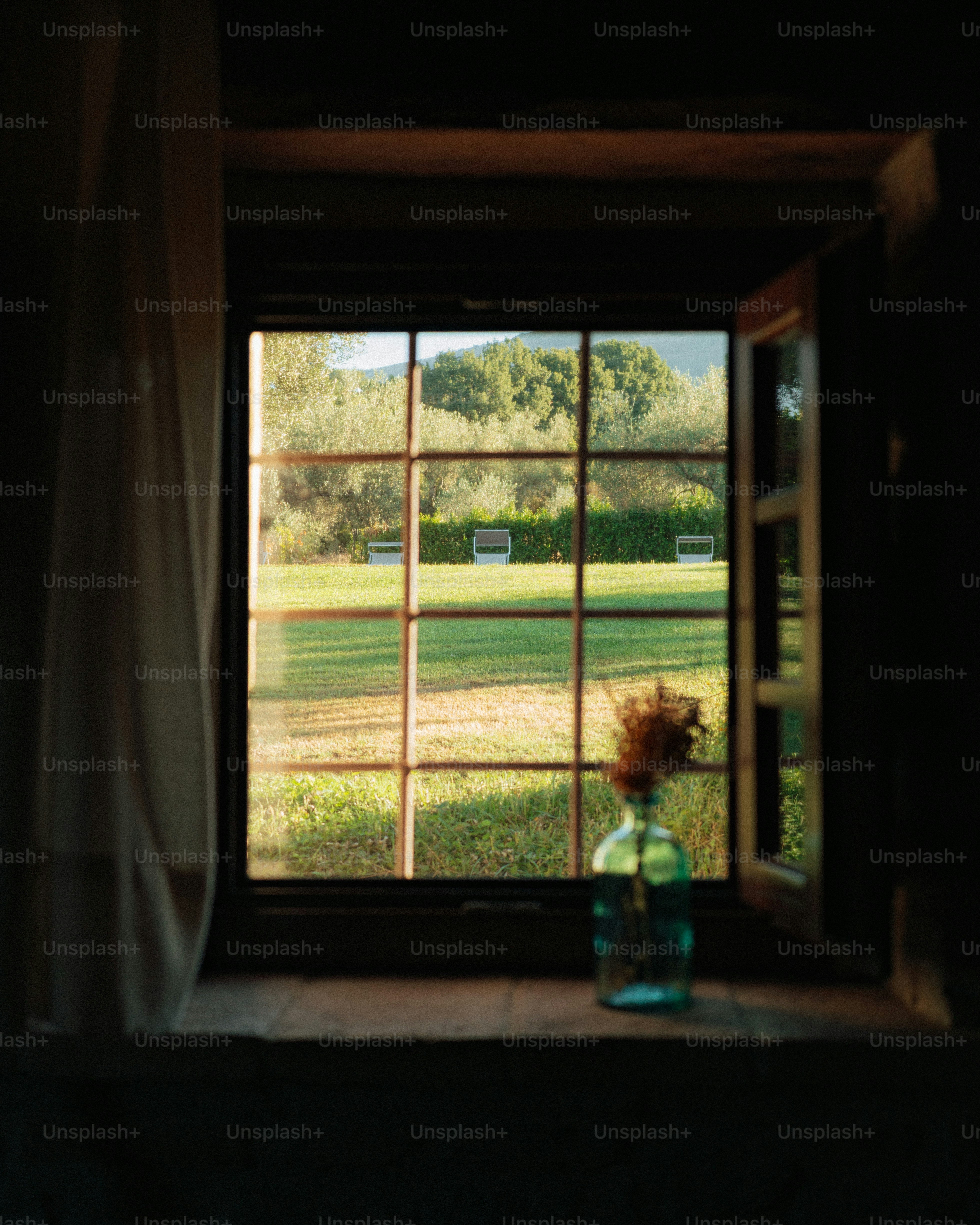 A view through a window of a sunlit lawn in Perugia, Italy