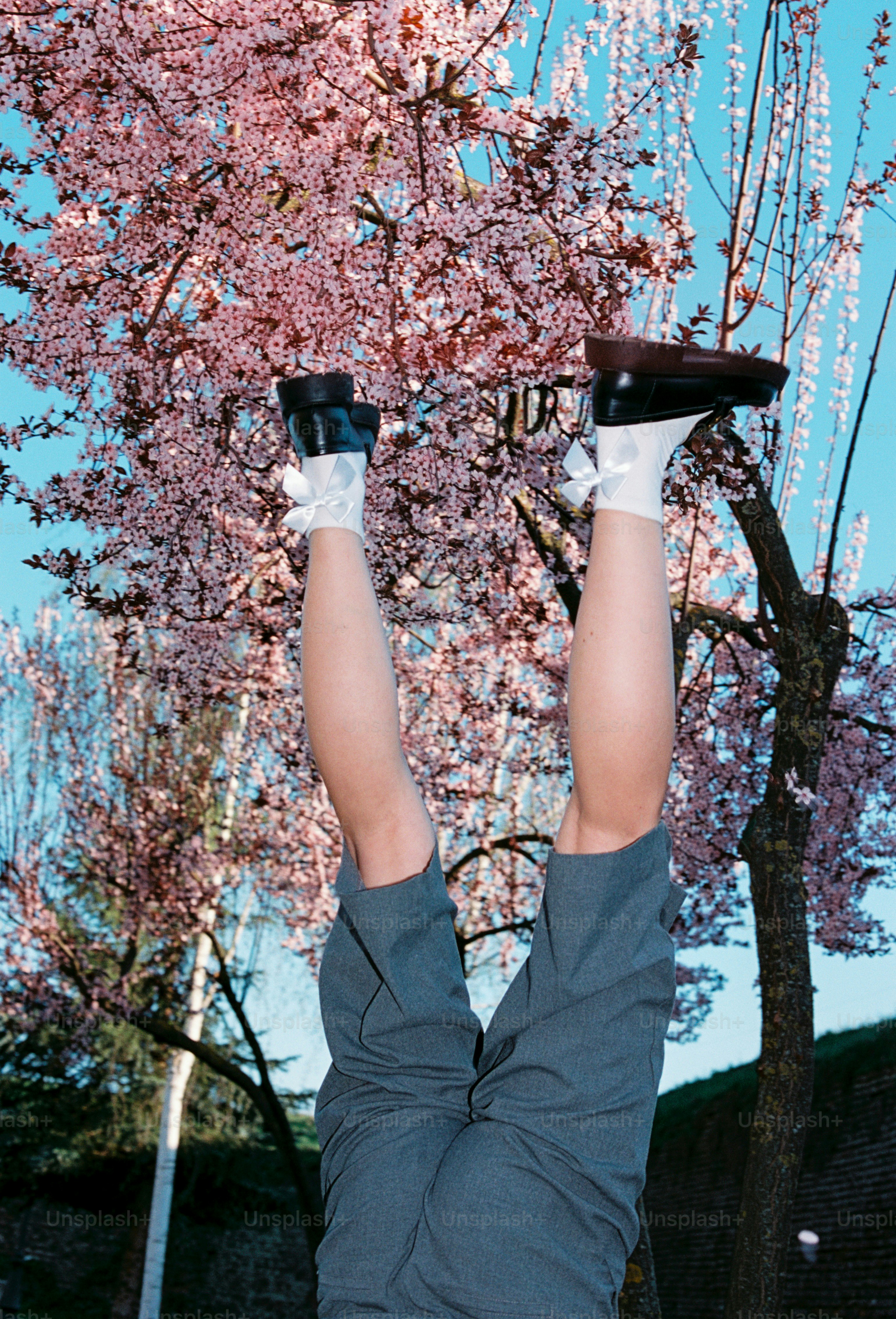 A person upside down in grey shorts against a blooming pink cherry tree