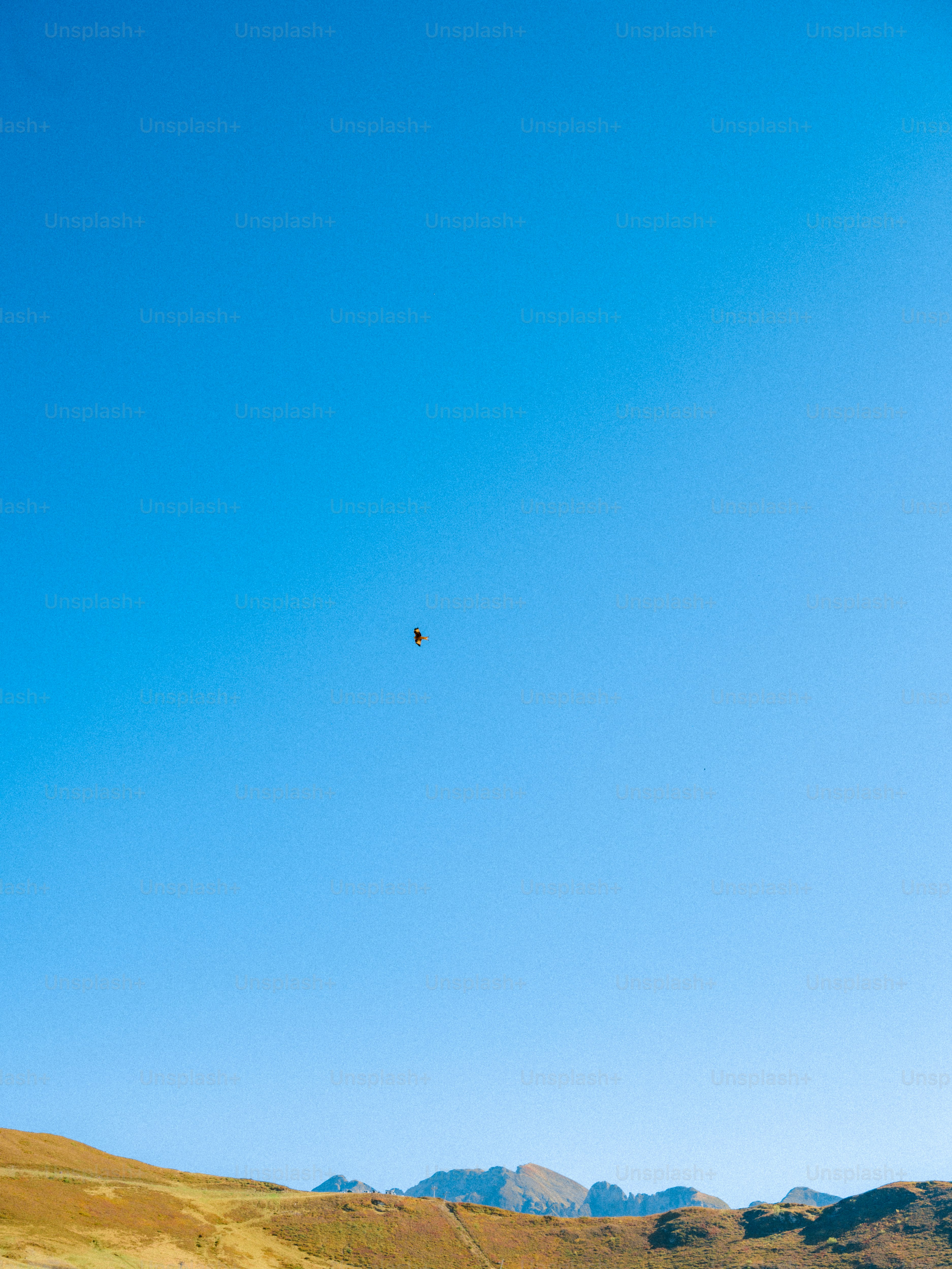A small bird flying in a vast clear blue sky above distant mountains