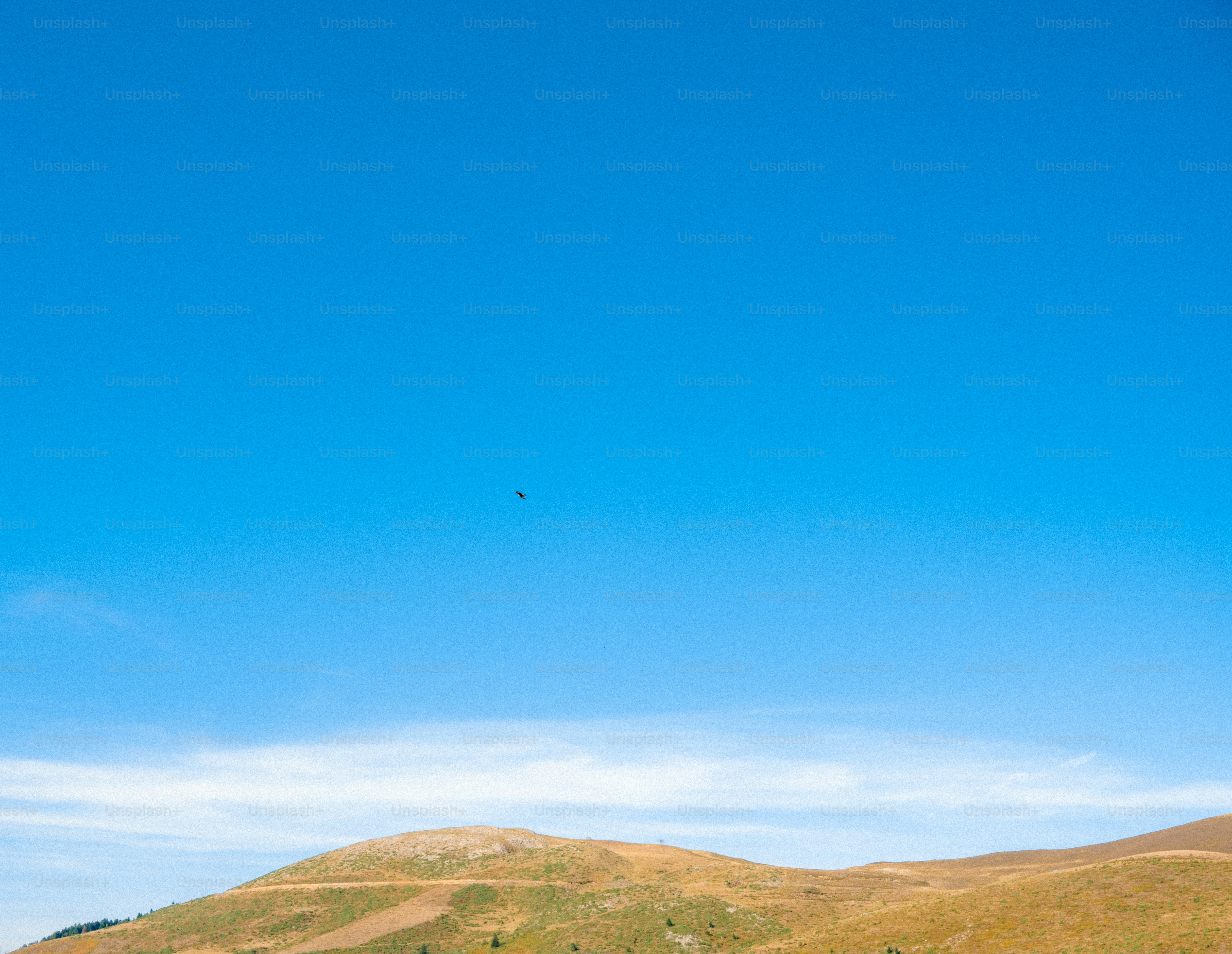 A small bird flying in a vast clear blue sky above rolling hills