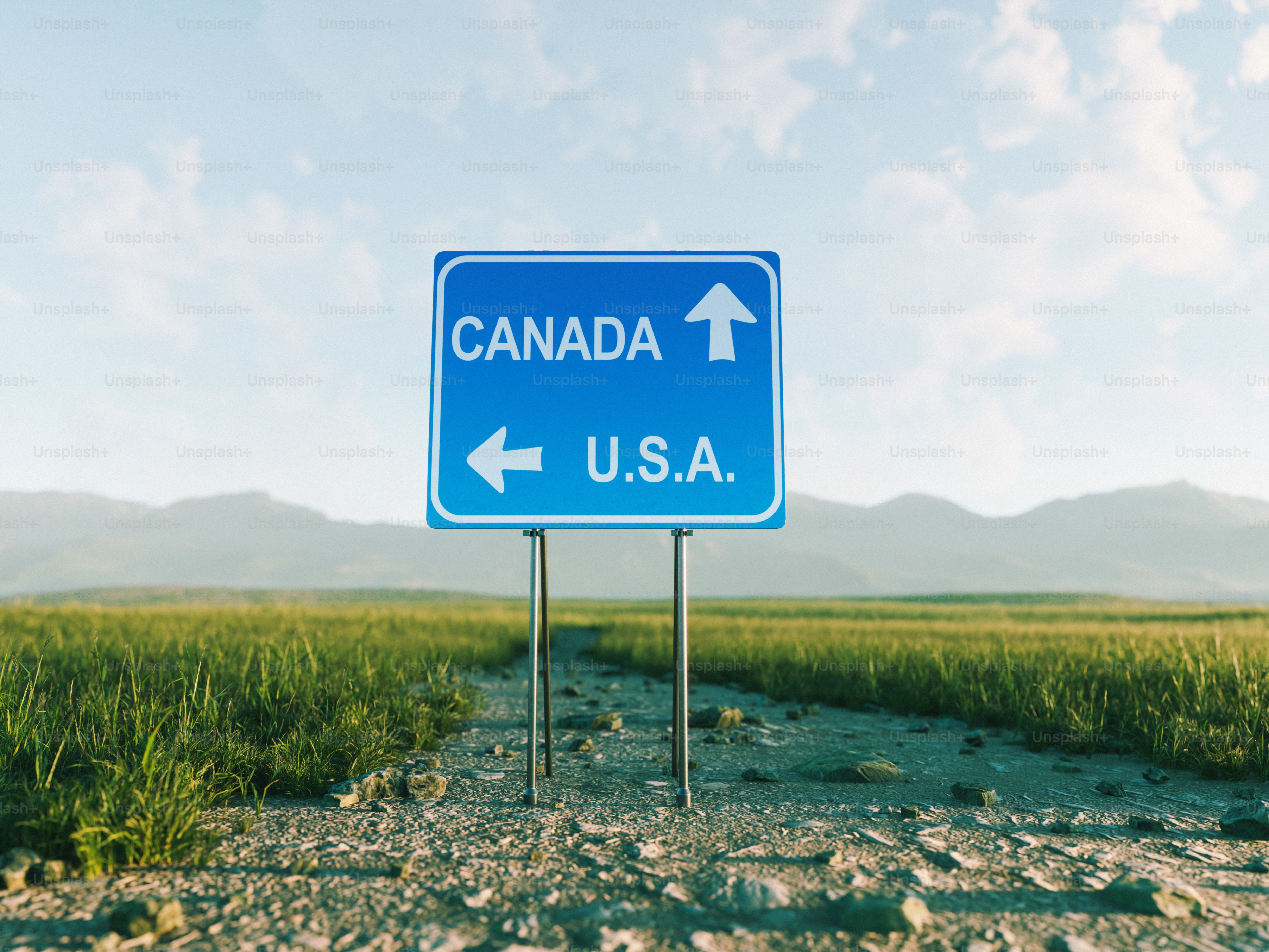 A blue road sign pointing to Canada and the U.S.A. in a grassy field