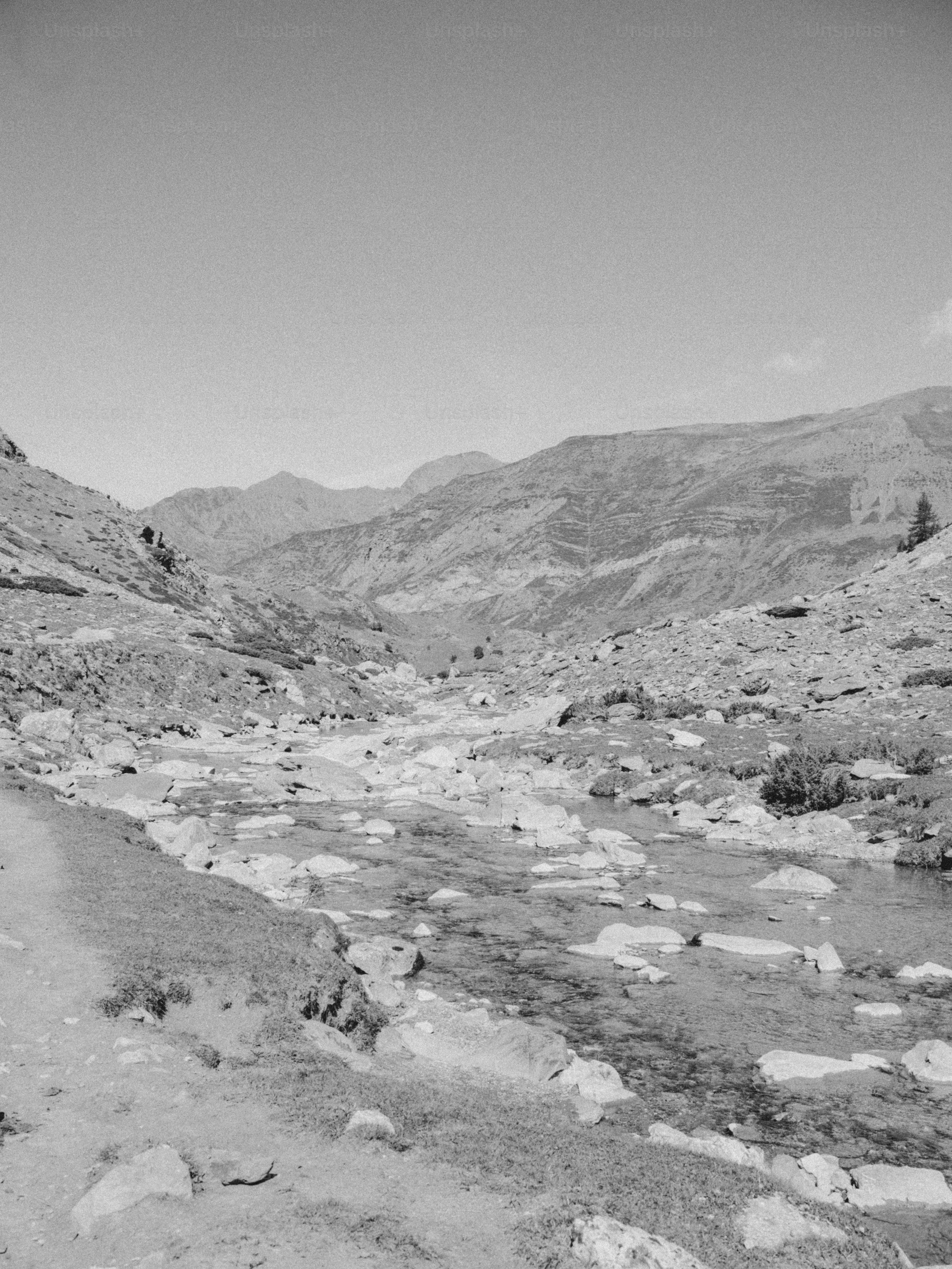 Rocky stream in mountain valley - Photo on Unsplash+