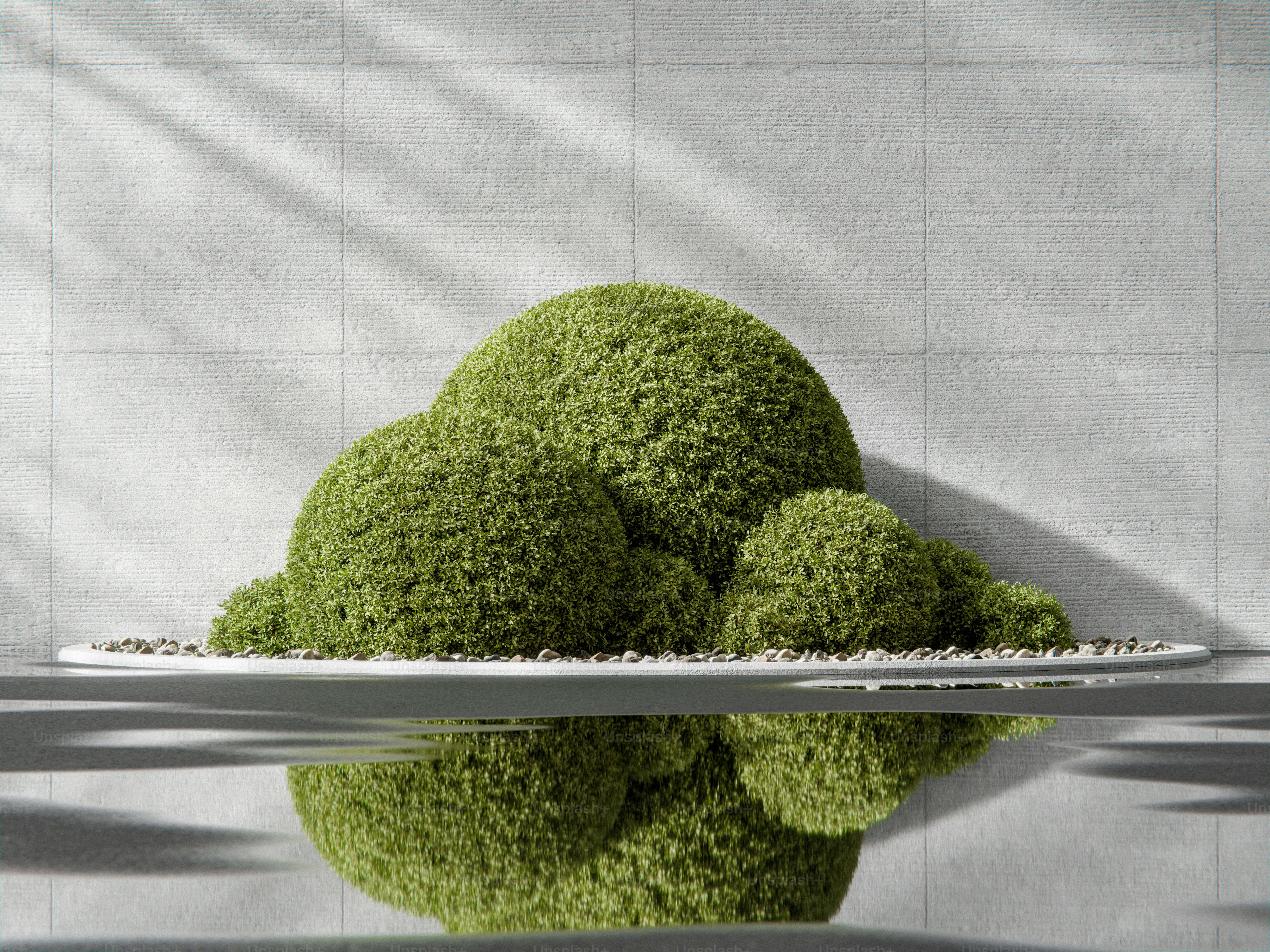 Spherical green shrubs in water reflection - Photo on Unsplash+