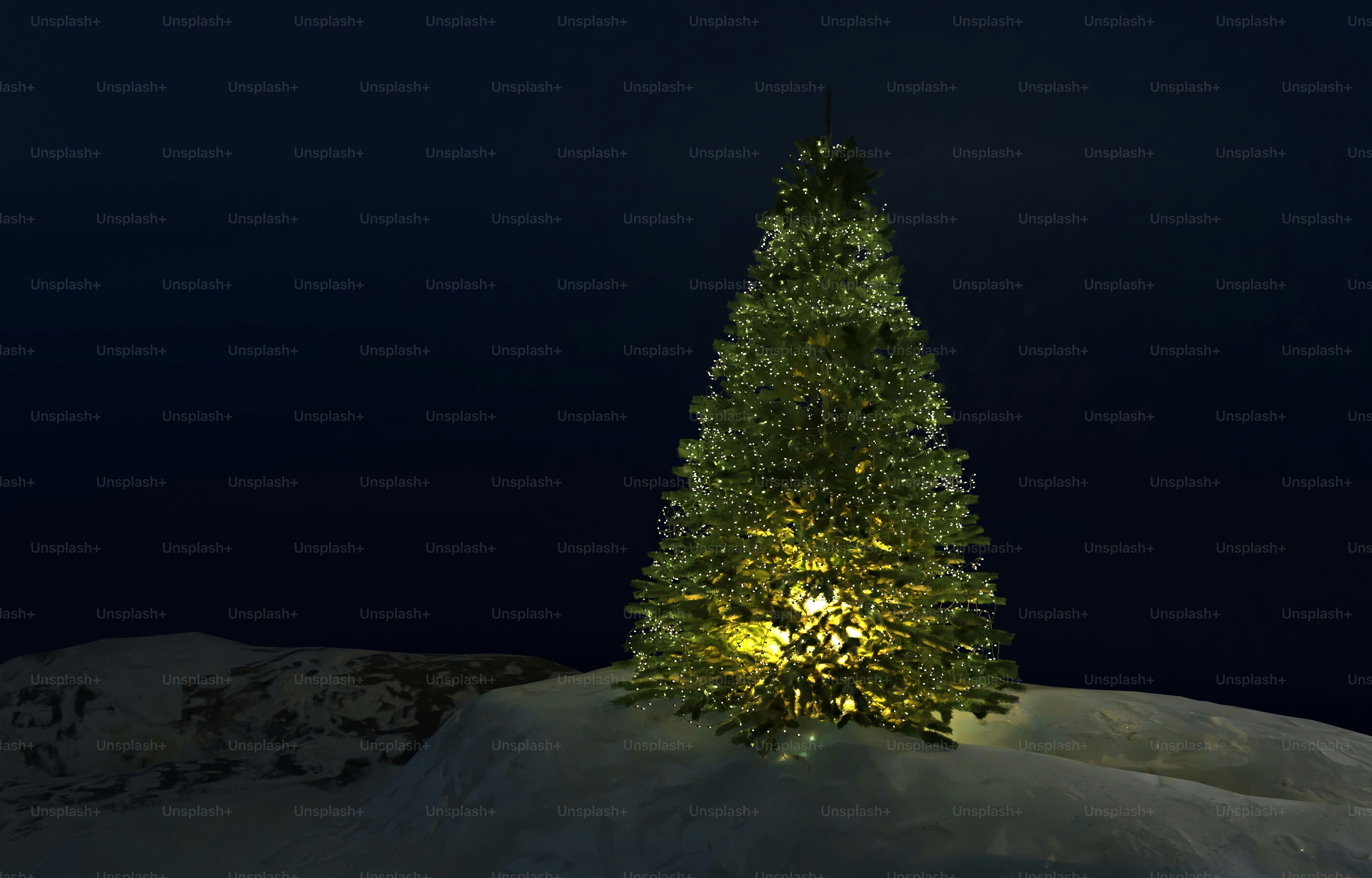 A lit Christmas tree on a snowy landscape against a dark night sky
