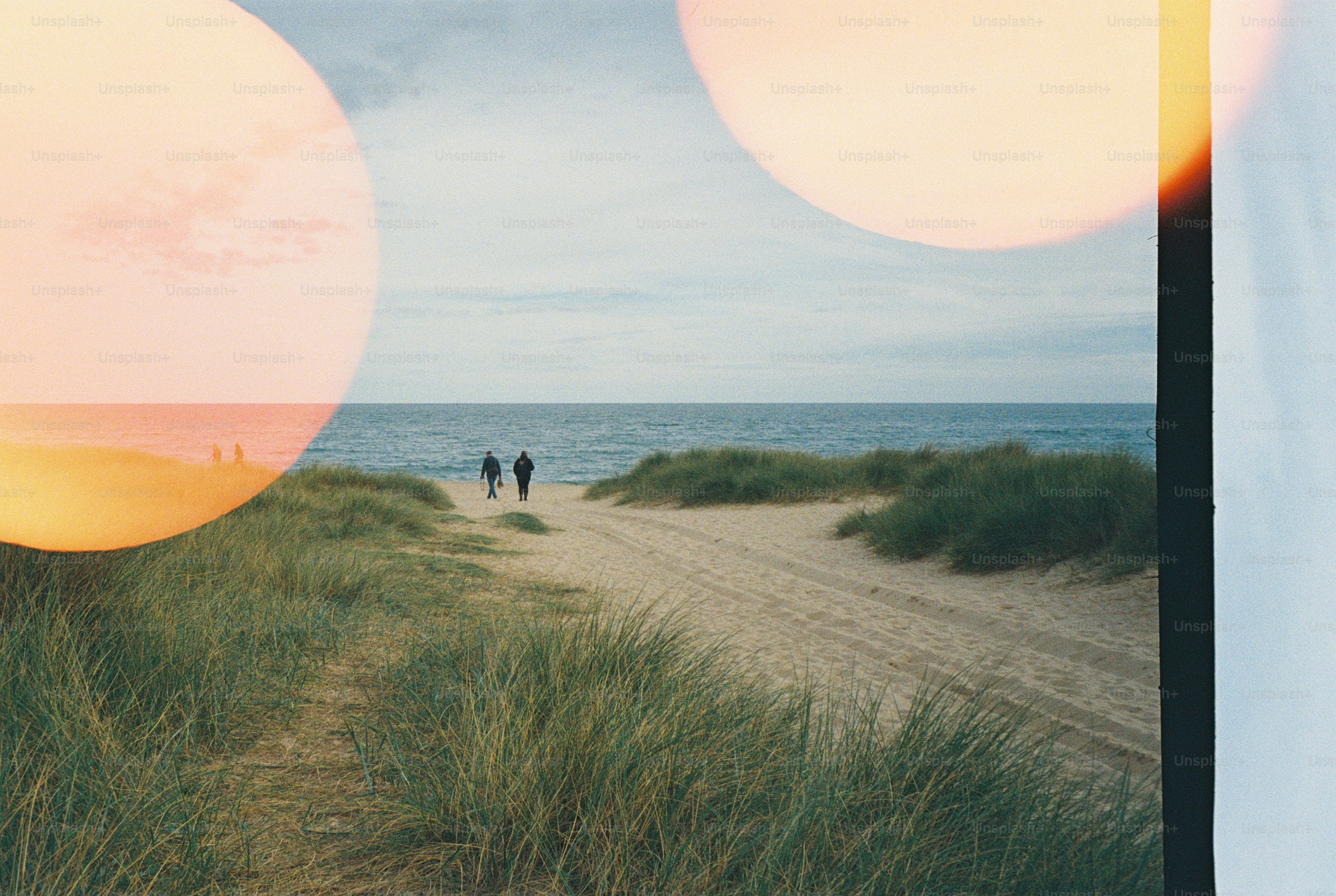 Two people walking on a sandy path through grassy dunes toward the ocean
