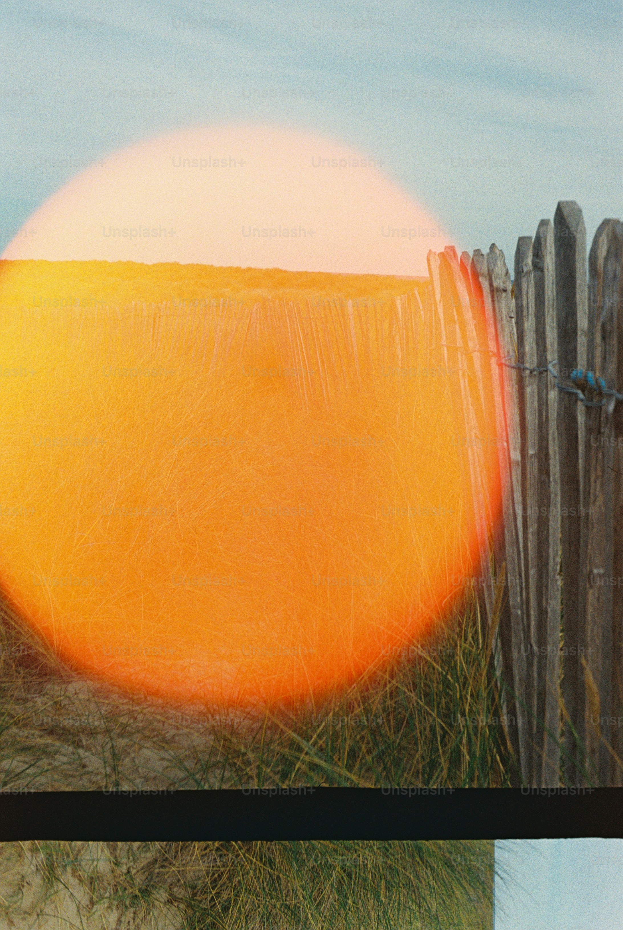 A wooden picket fence beside tall beach grass with a large orange light flare