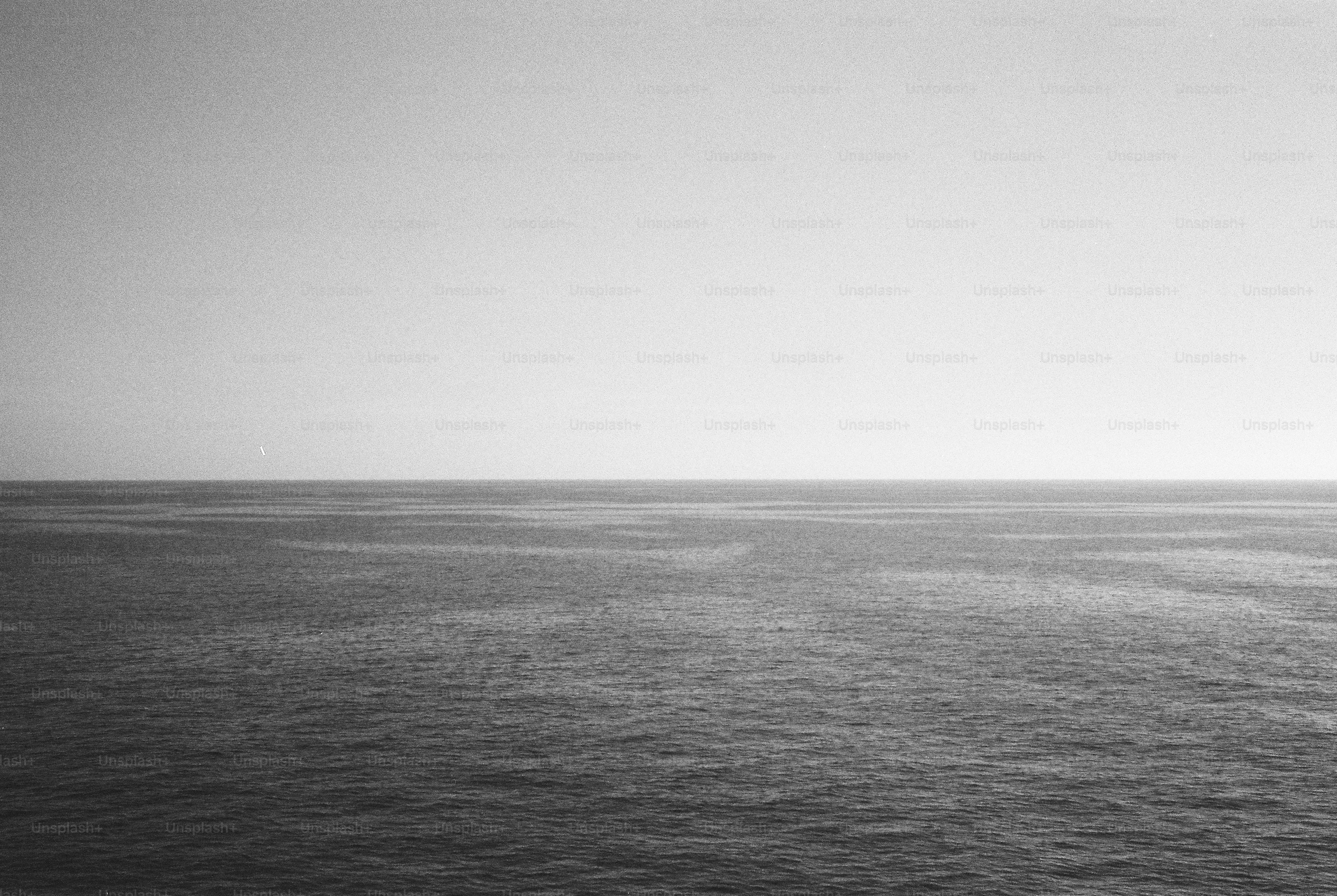 A vast expanse of calm ocean meeting a clear sky at the horizon