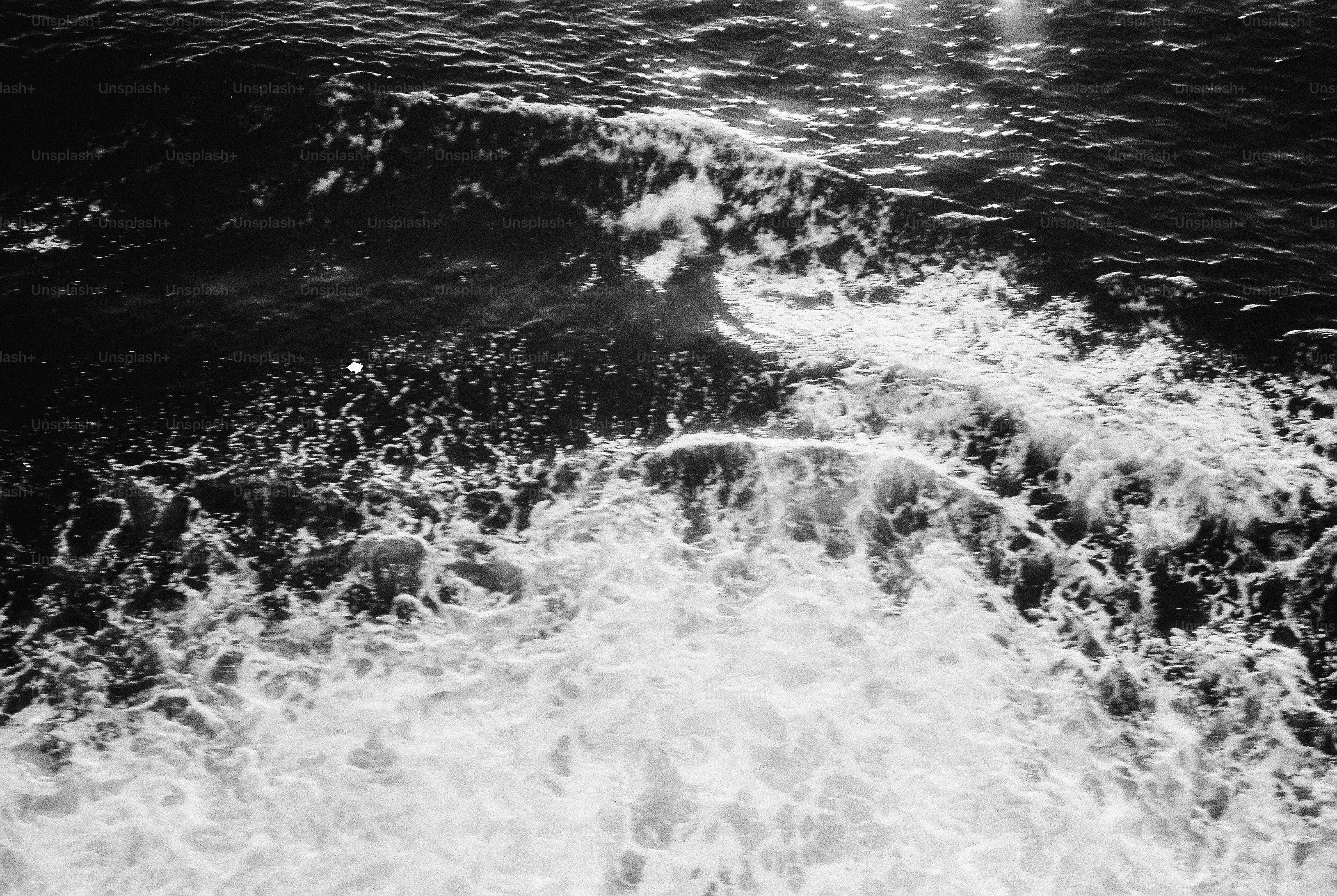 White sea foam churning on dark water with bright sunlight reflections