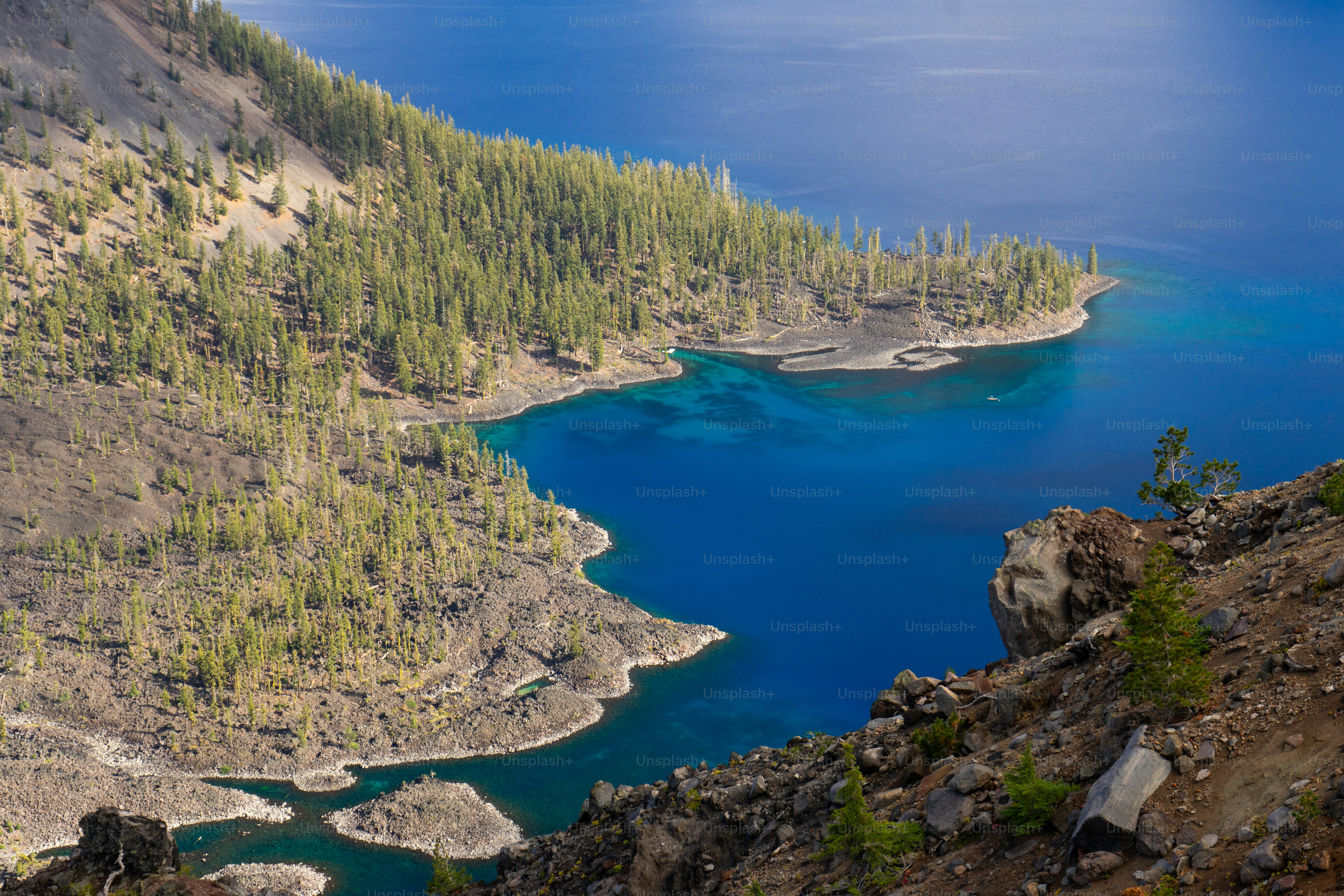 A deep blue lake surrounded by a rocky shoreline and dense pine forest