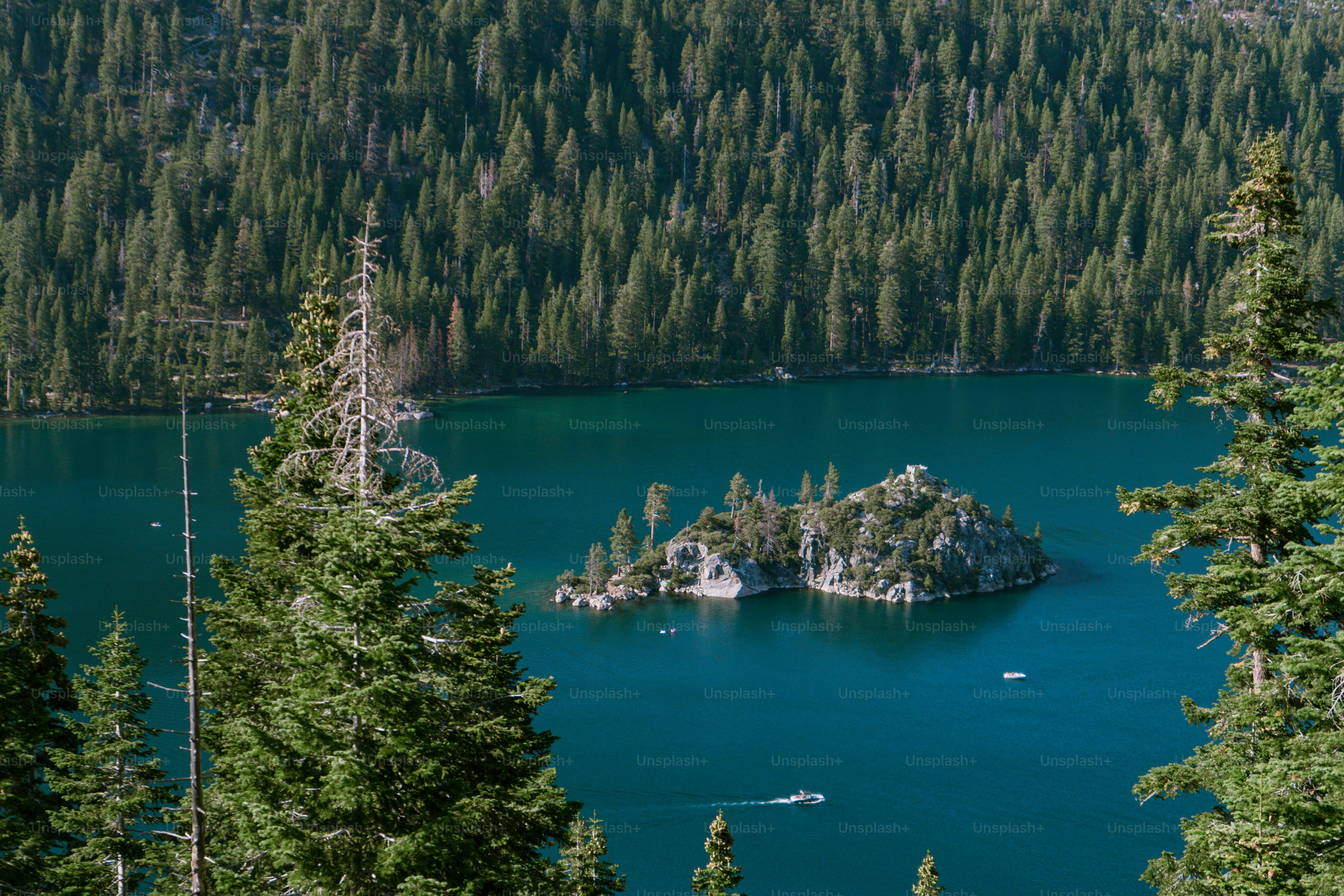 A small rocky island with pine trees in the middle of a deep blue lake