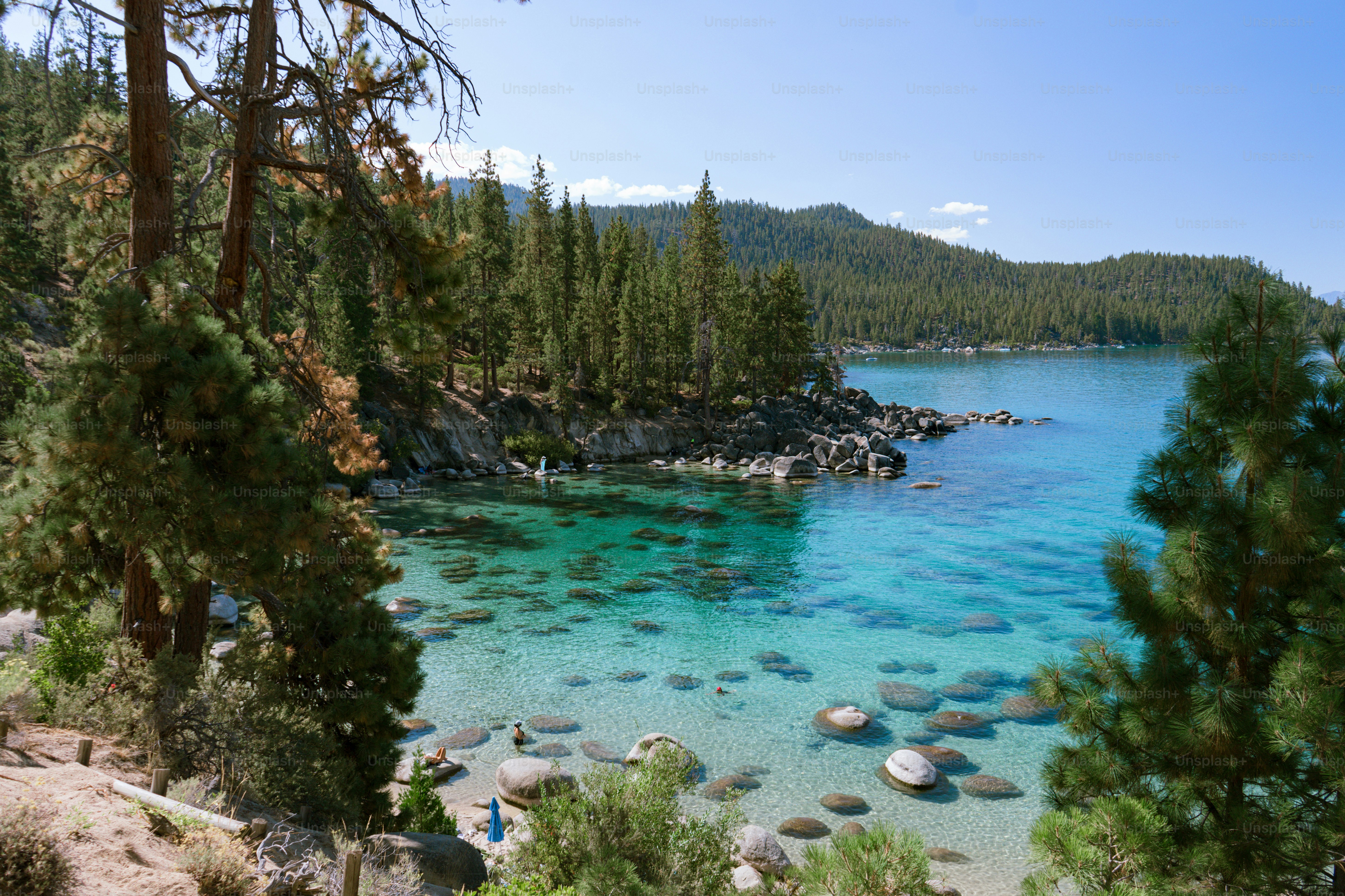 A turquoise cove with large boulders and pine trees on a sunny day