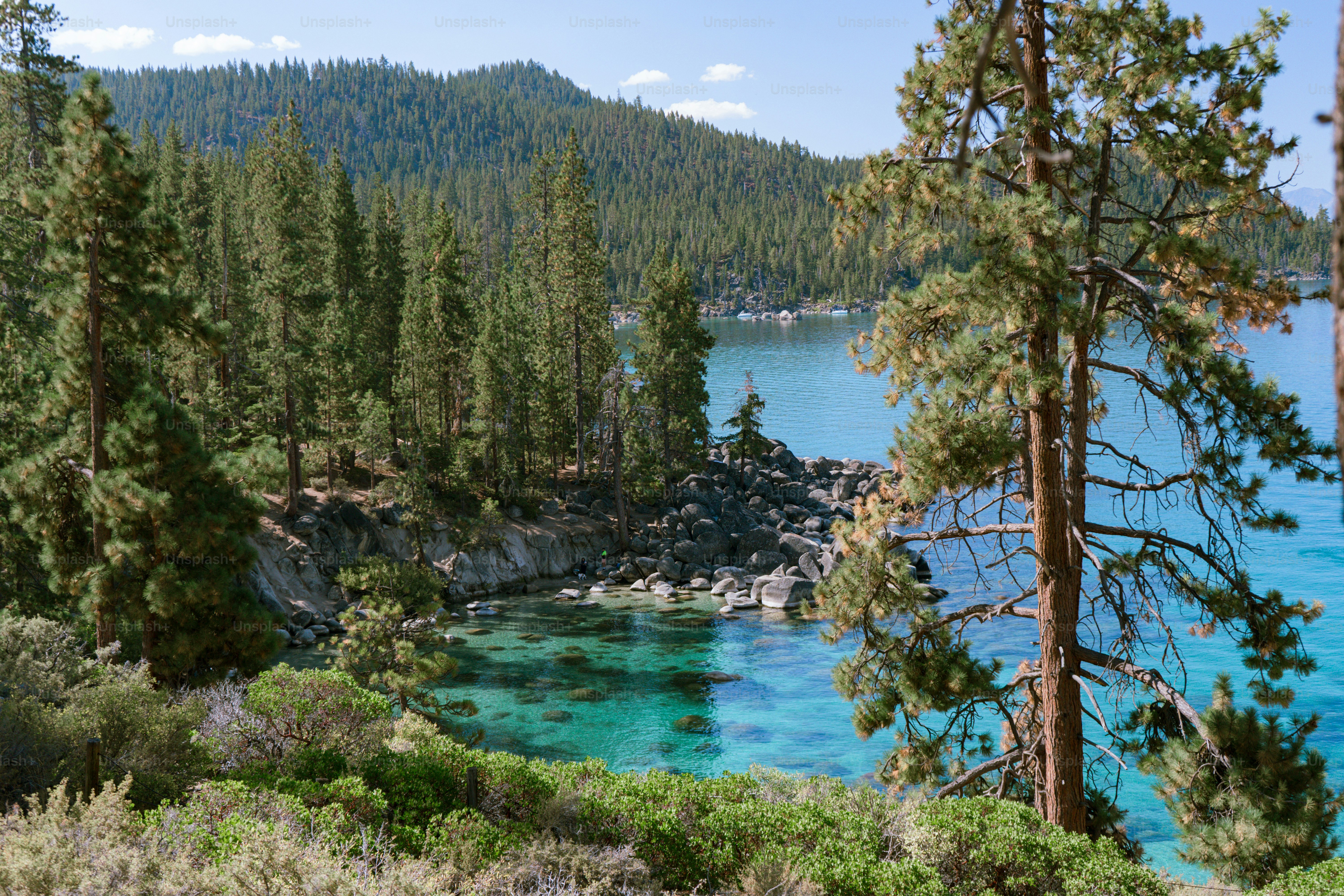 A rocky shoreline with pine trees overlooking clear turquoise water in a mountain lake