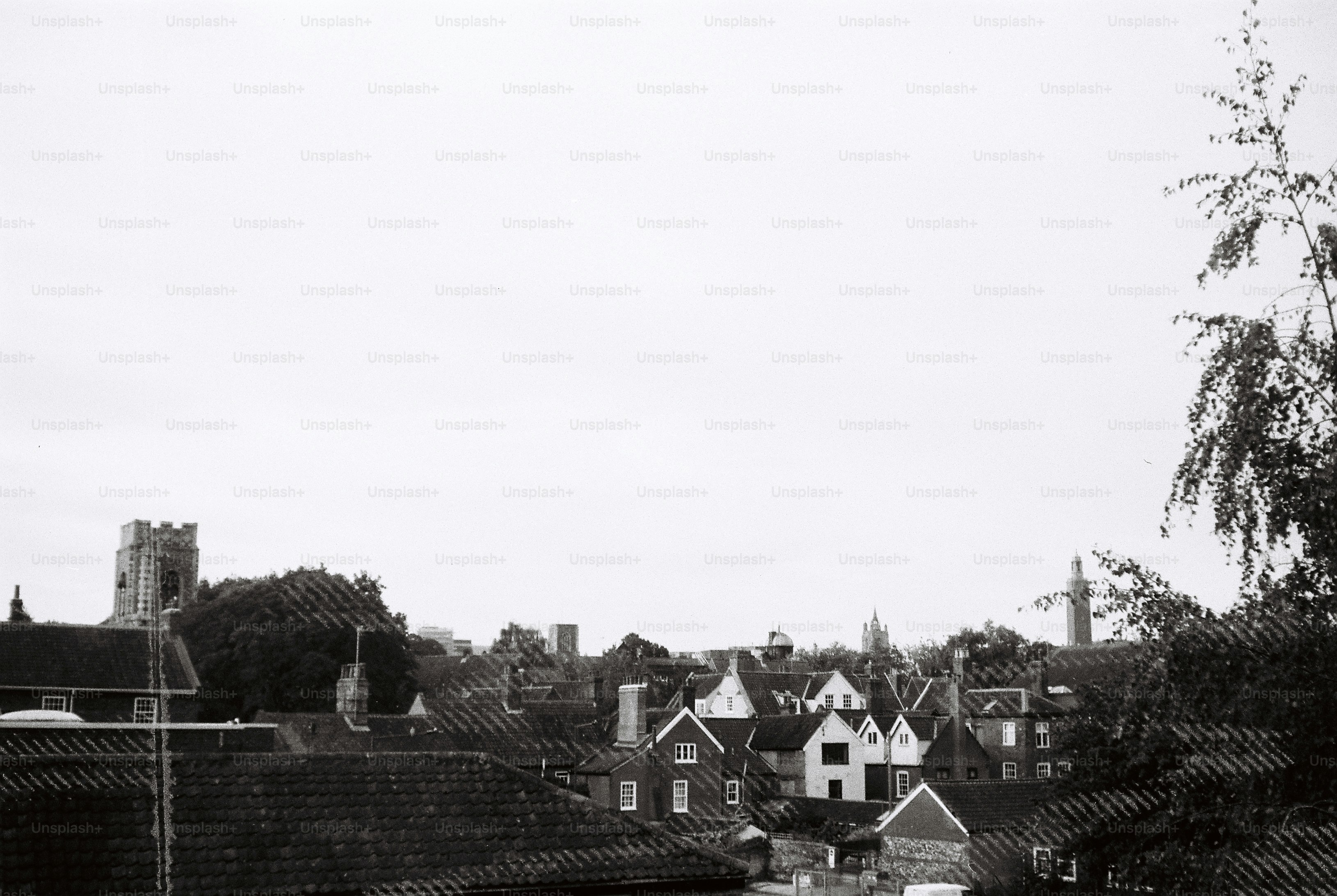 A black and white view of rooftops and church towers in a town