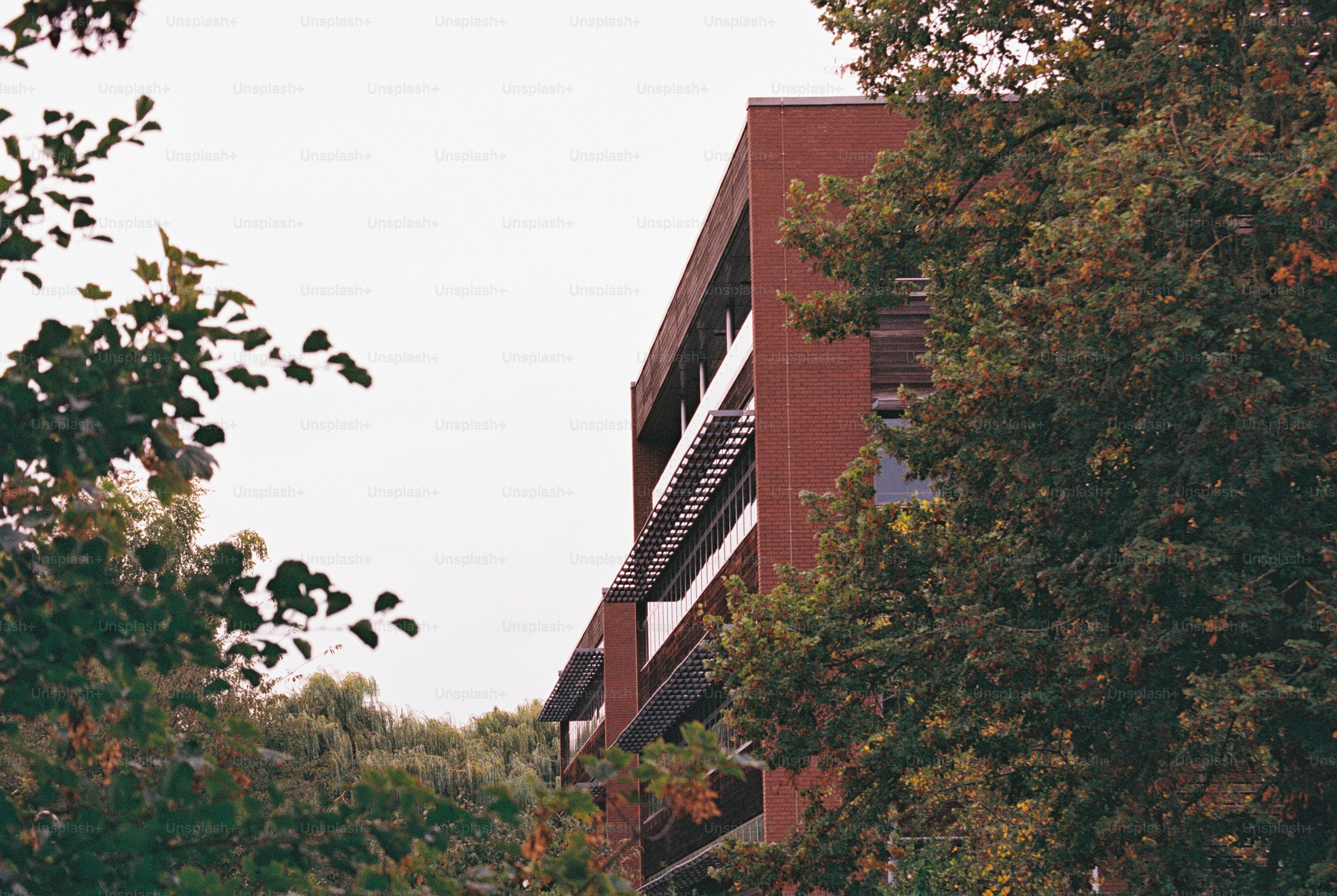 A modern red-brick building with timber cladding and dark louvred sunshades behind leafy branches