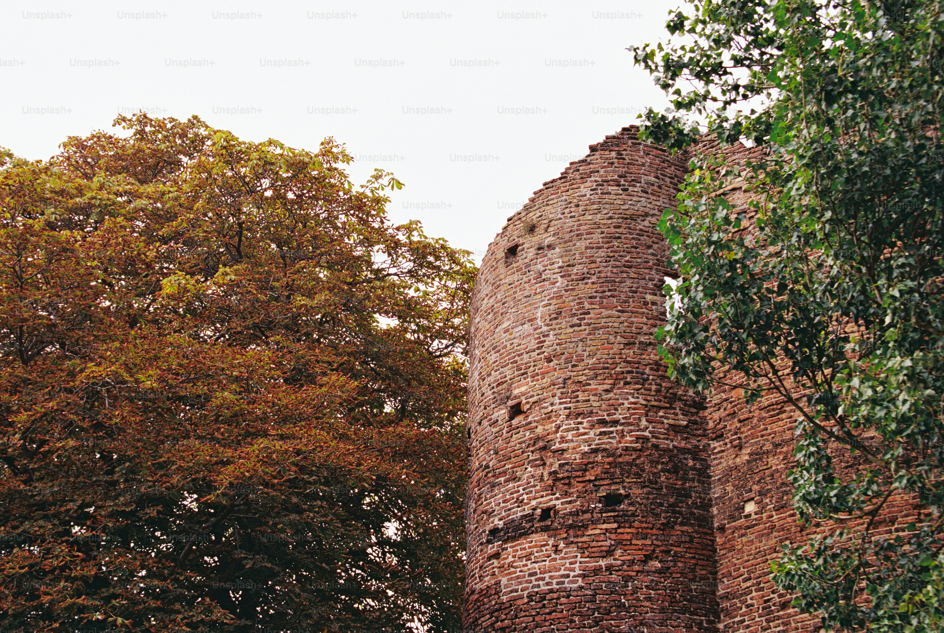 A ruined round brick tower beside a large chestnut tree in Norwich