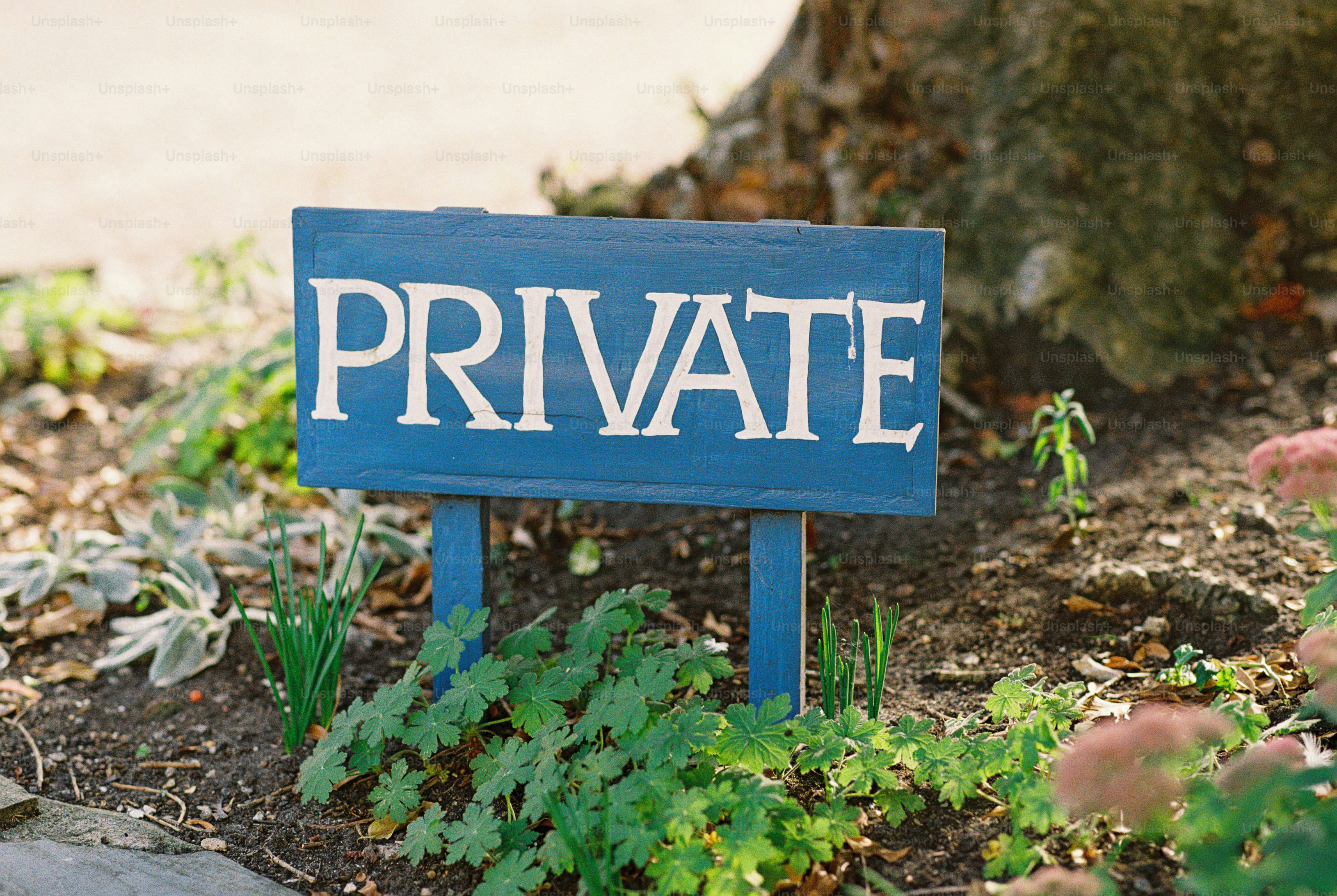 A blue wooden sign reading PRIVATE in white letters in a garden