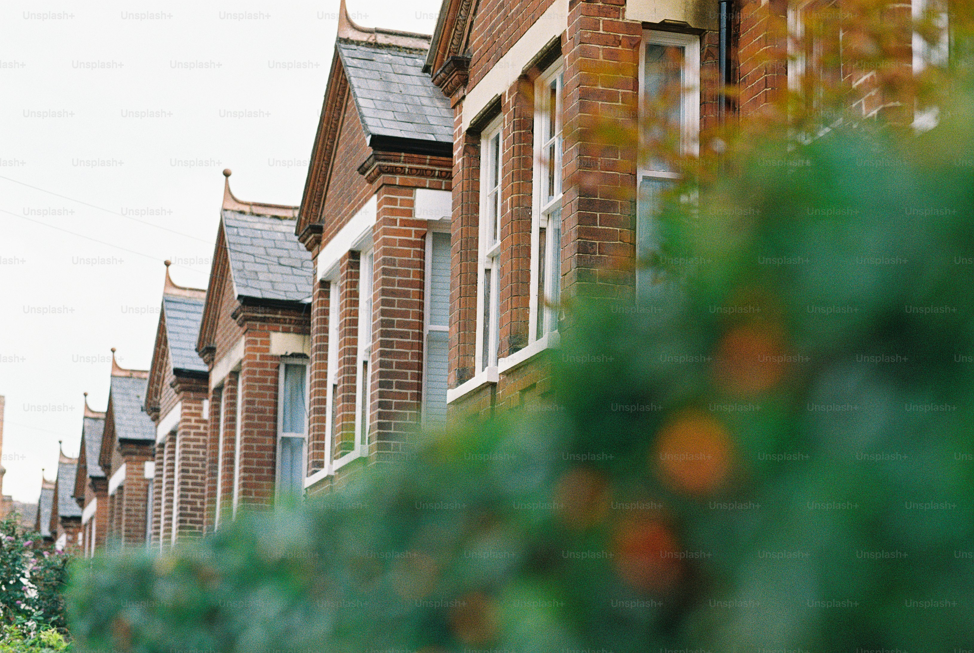 A row of red brick houses with slate roofs behind a blurred green bush
