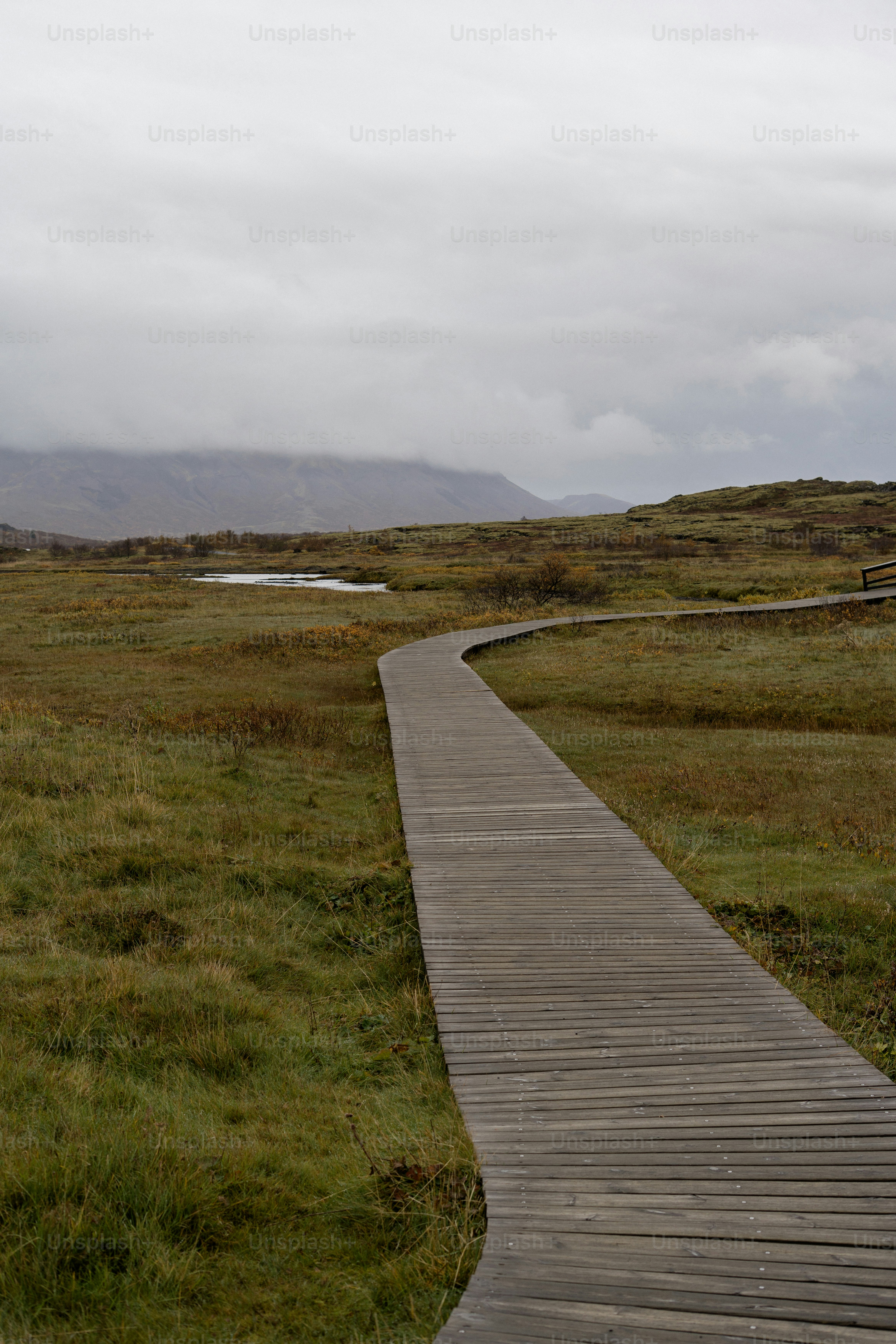 A wooden boardwalk winding through a grassy landscape under a cloudy sky