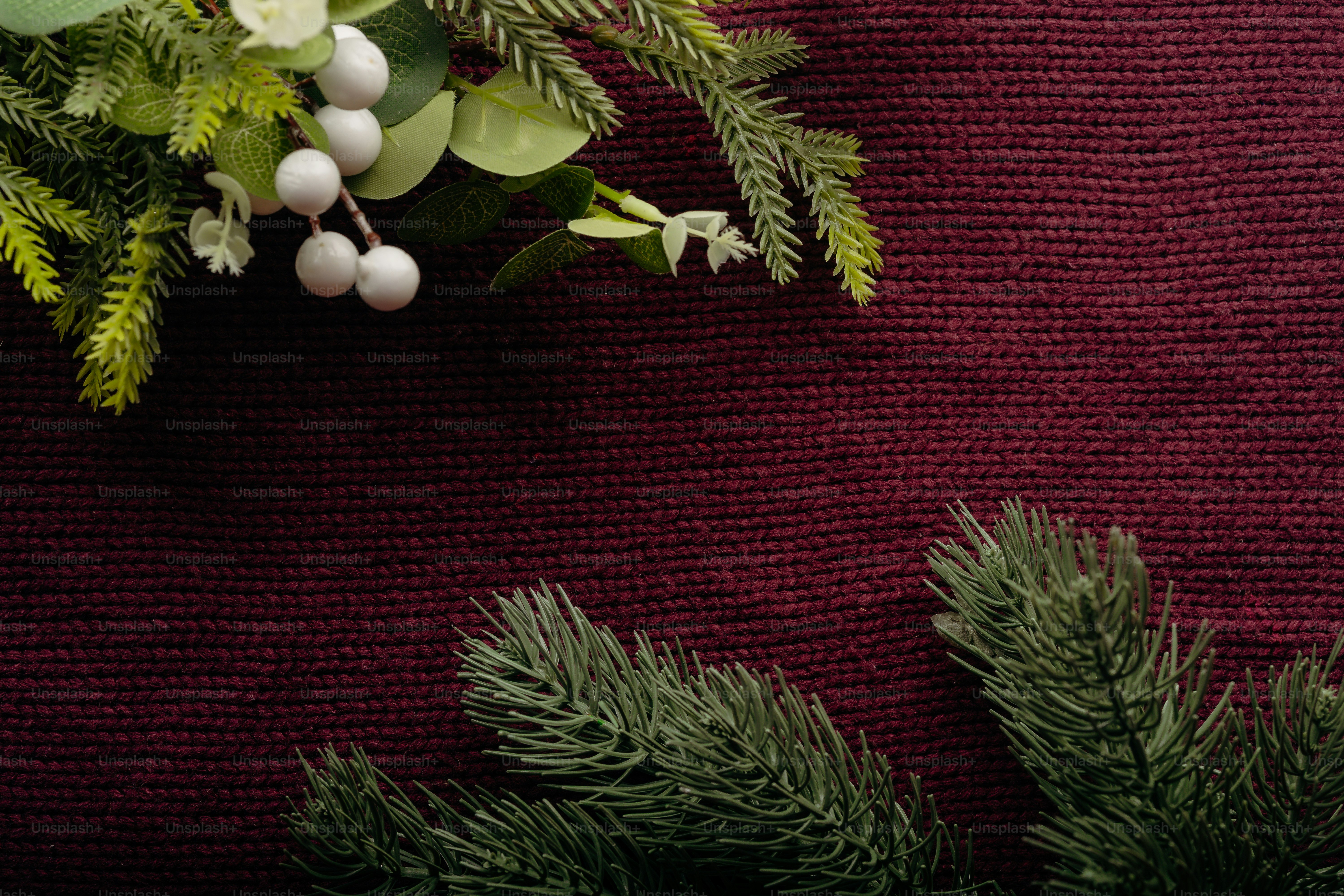 White berries and green pine branches on a dark red knitted fabric