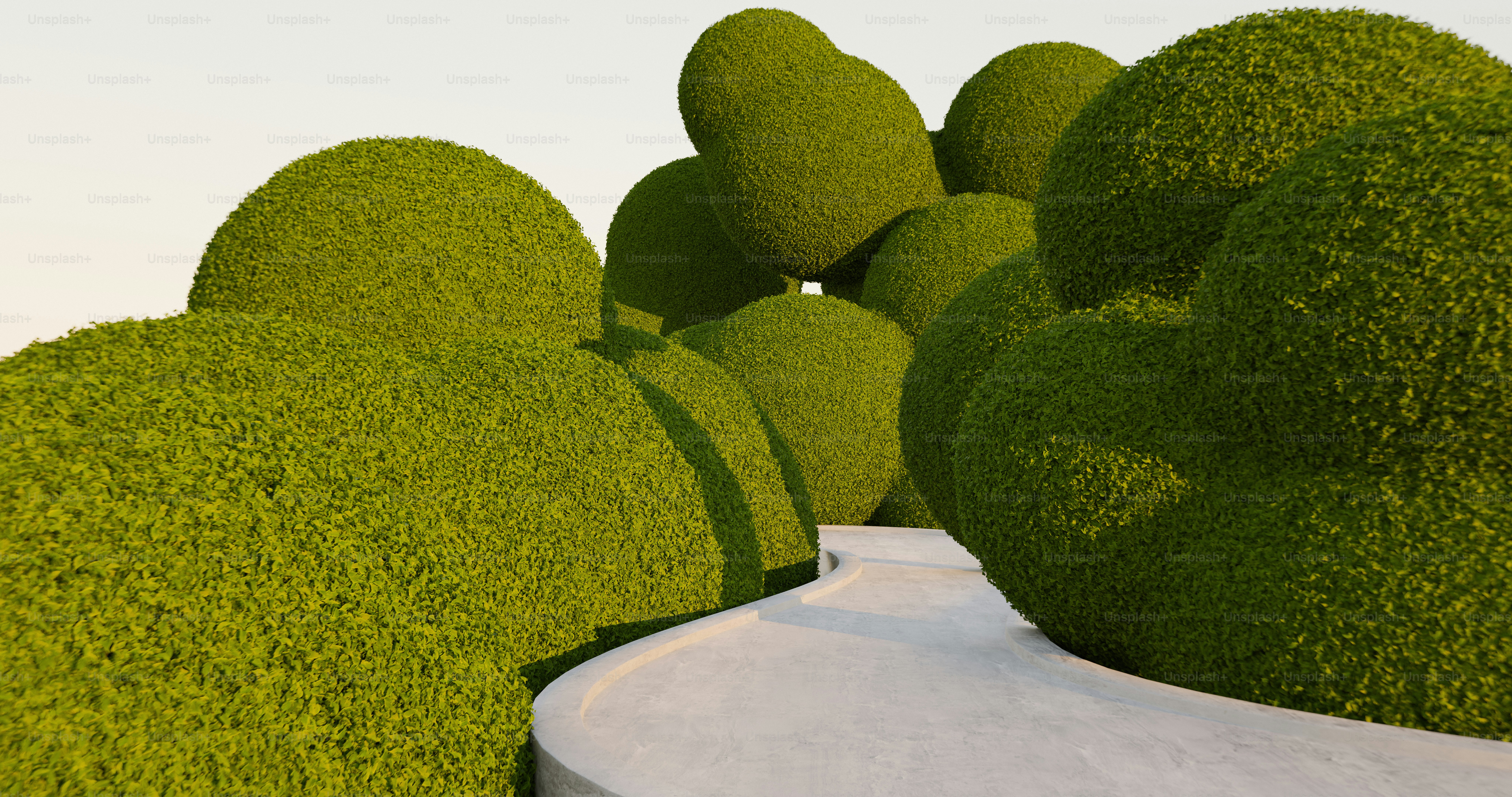 A winding concrete path lined with large rounded green topiary bushes