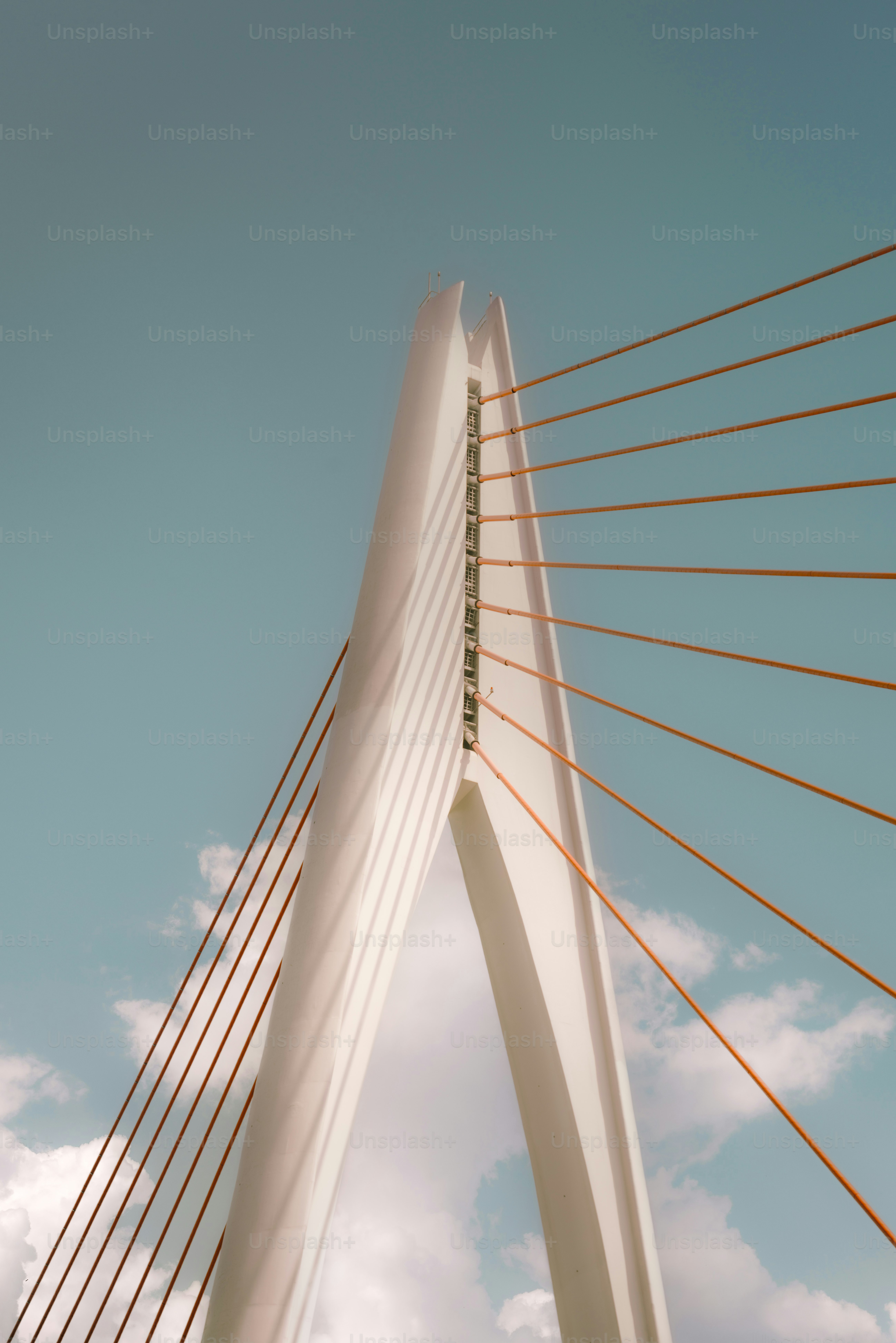 White cable-stayed bridge pylon - Photo on Unsplash+