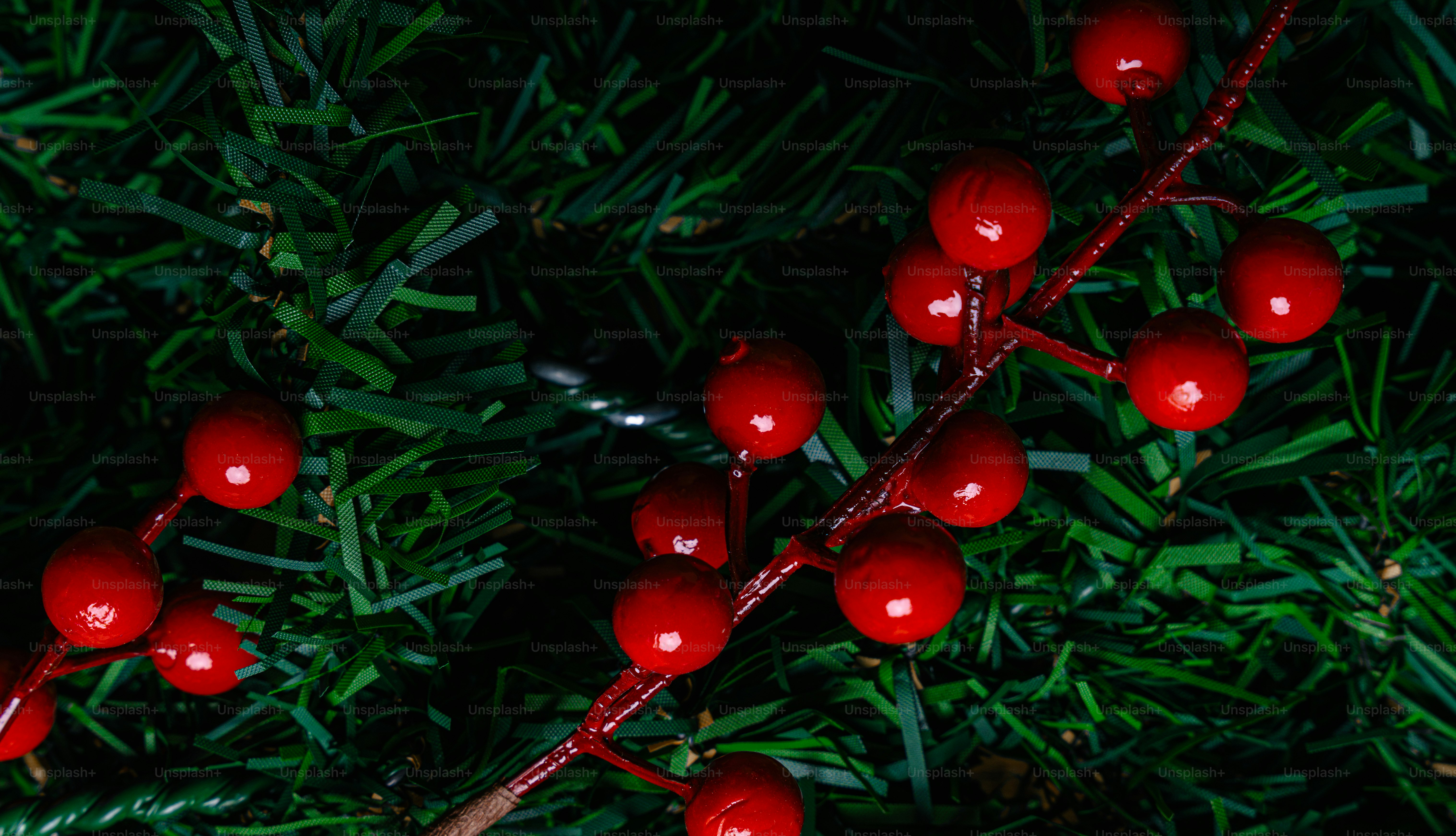 Shiny red berries on a branch against dark green artificial pine needles