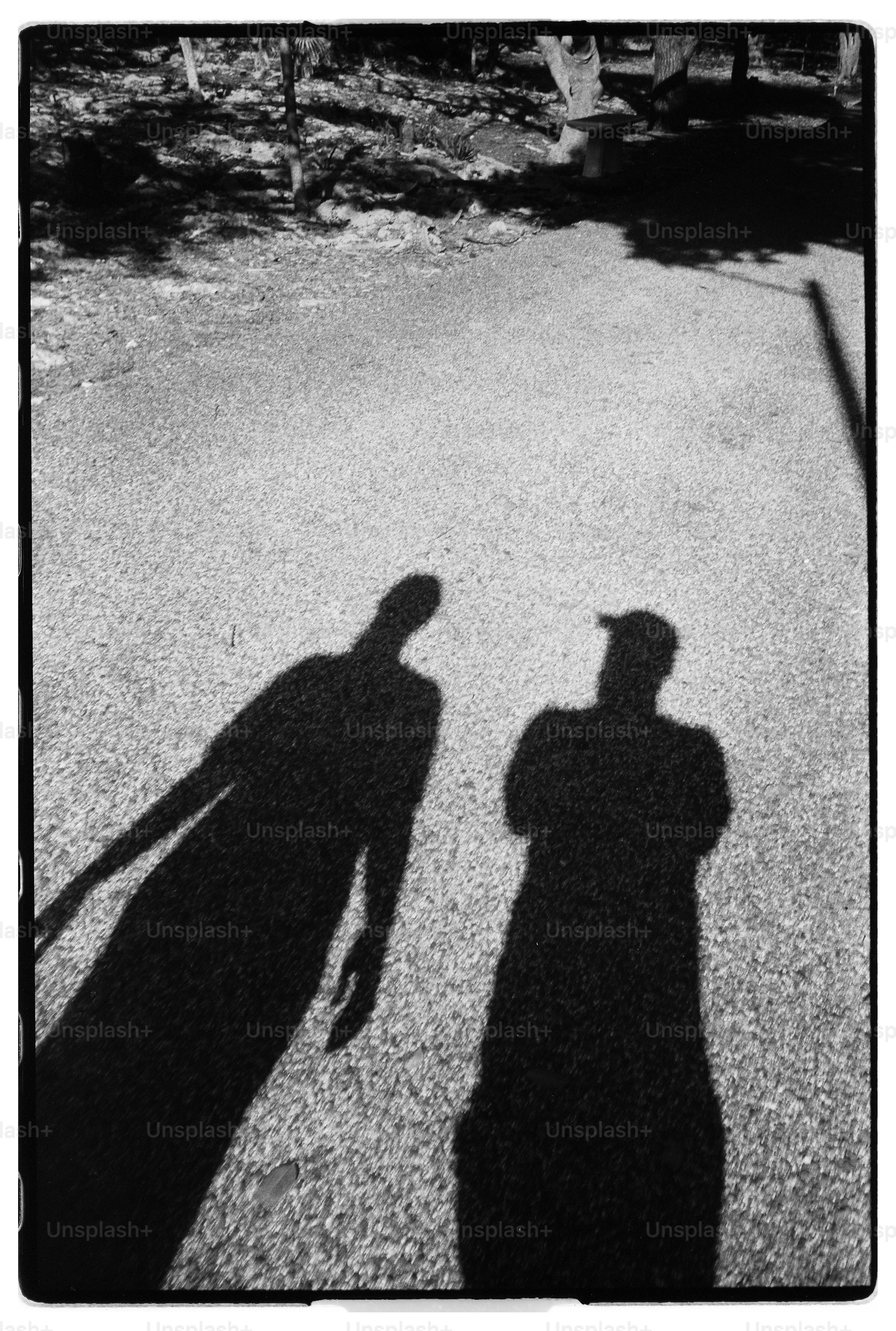 Two long shadows of people cast onto a textured asphalt surface