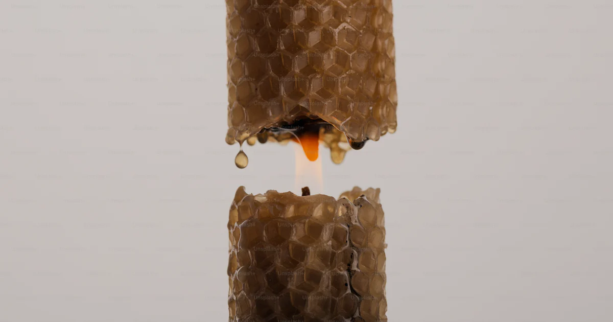 Candlestick Graph Icon Burning beeswax candle with honeycomb texture - Photo on Unsplash+