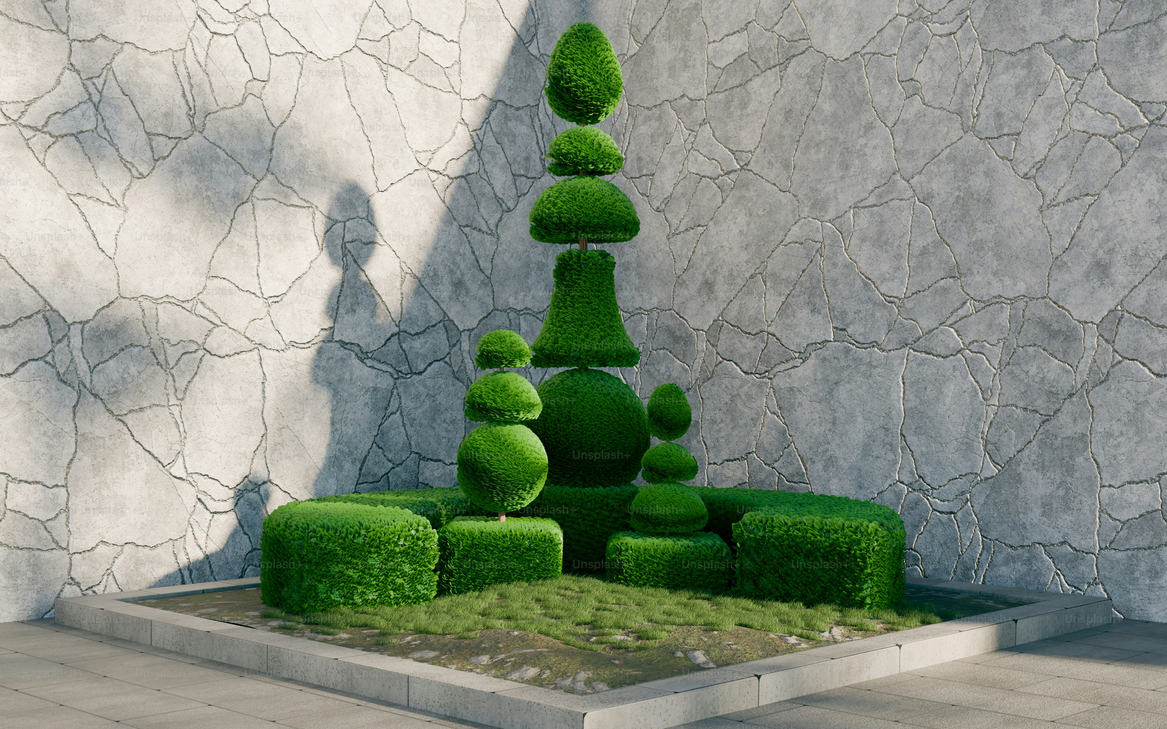 Green topiary shrubs in geometric shapes against a cracked stone wall