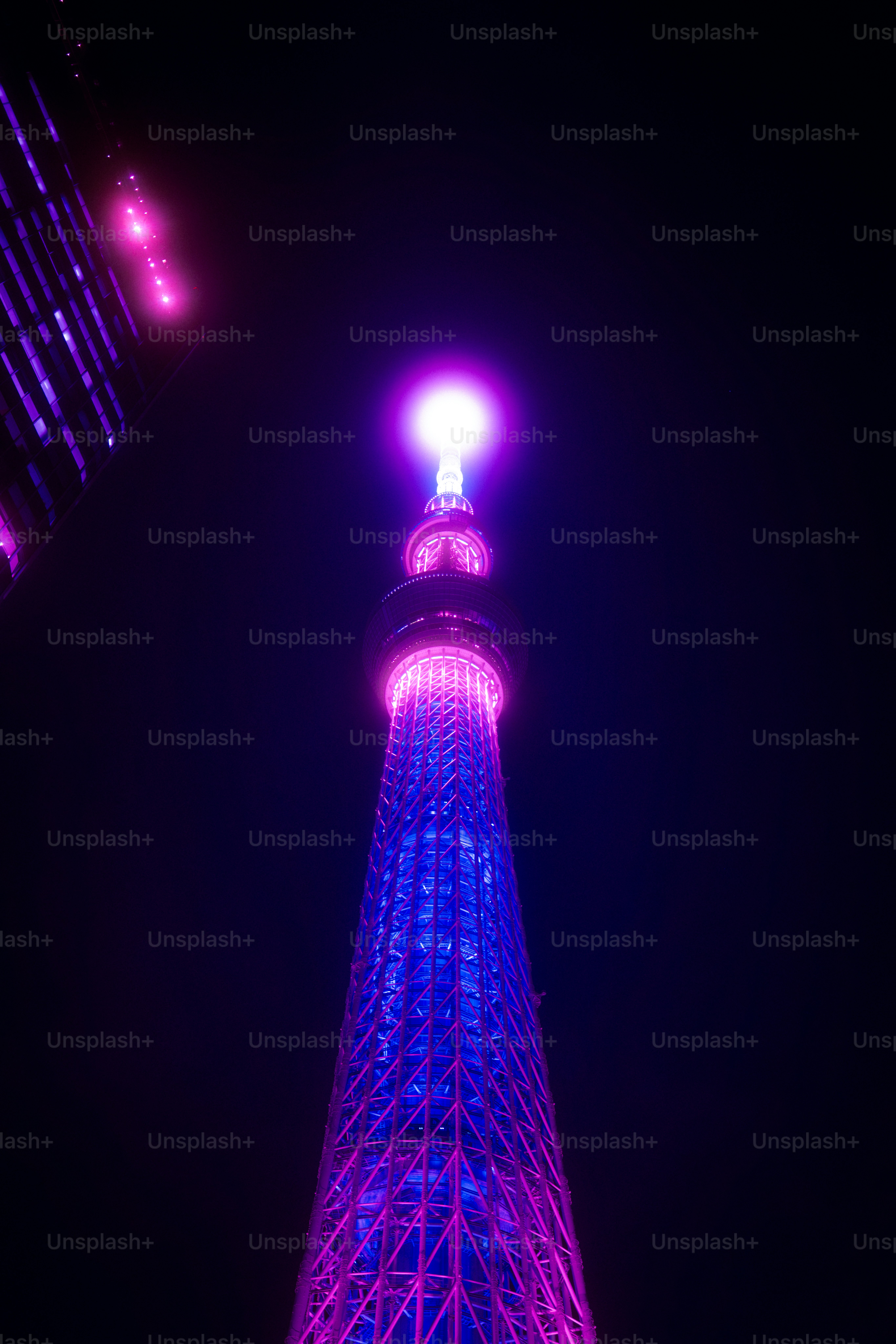 The Tokyo Skytree illuminated in vibrant purple and blue light against a dark night sky
