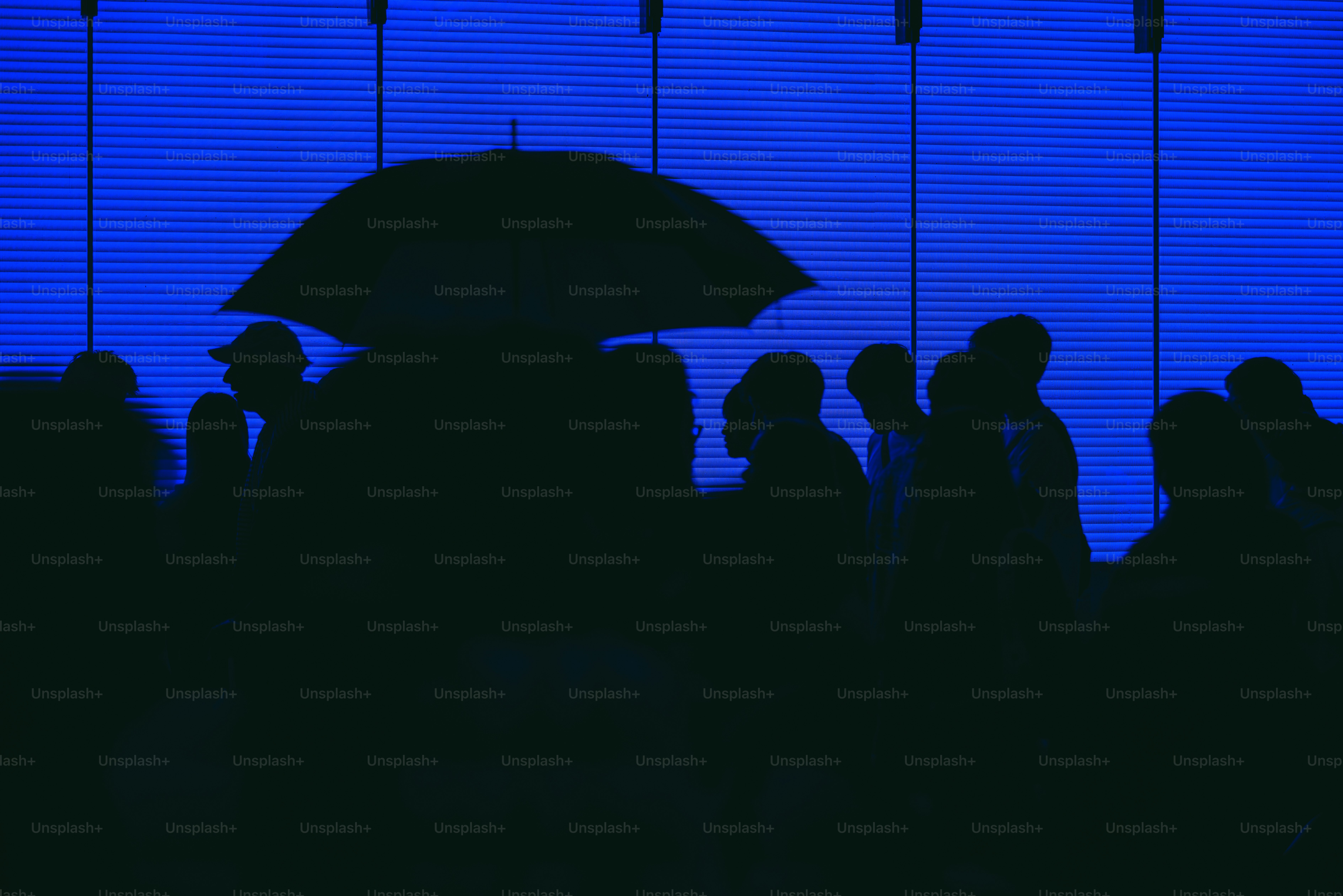 Silhouettes of people in front of a bright blue window with horizontal blinds