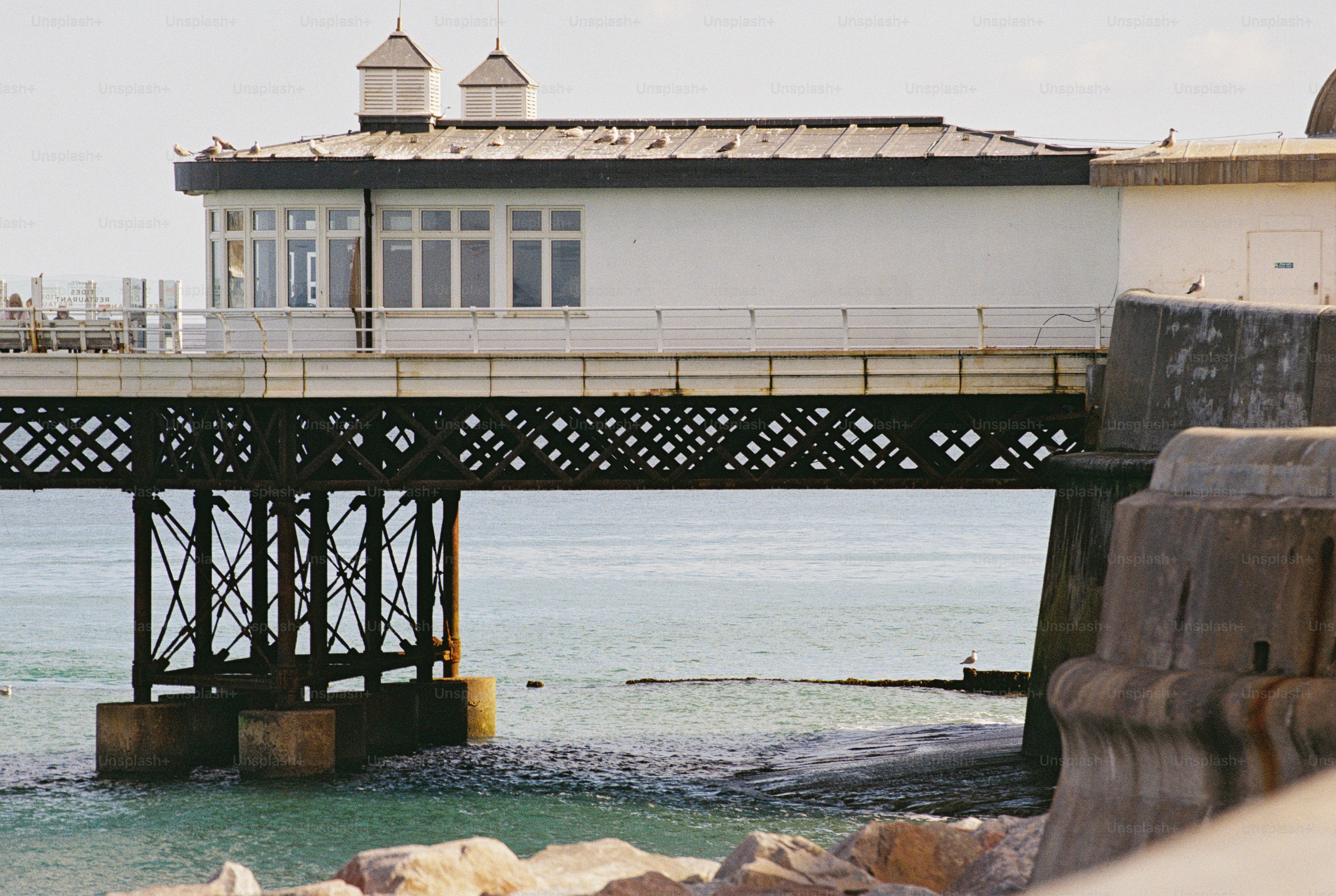 A white building with two cupolas on a pier above the sea with seagulls on the roof