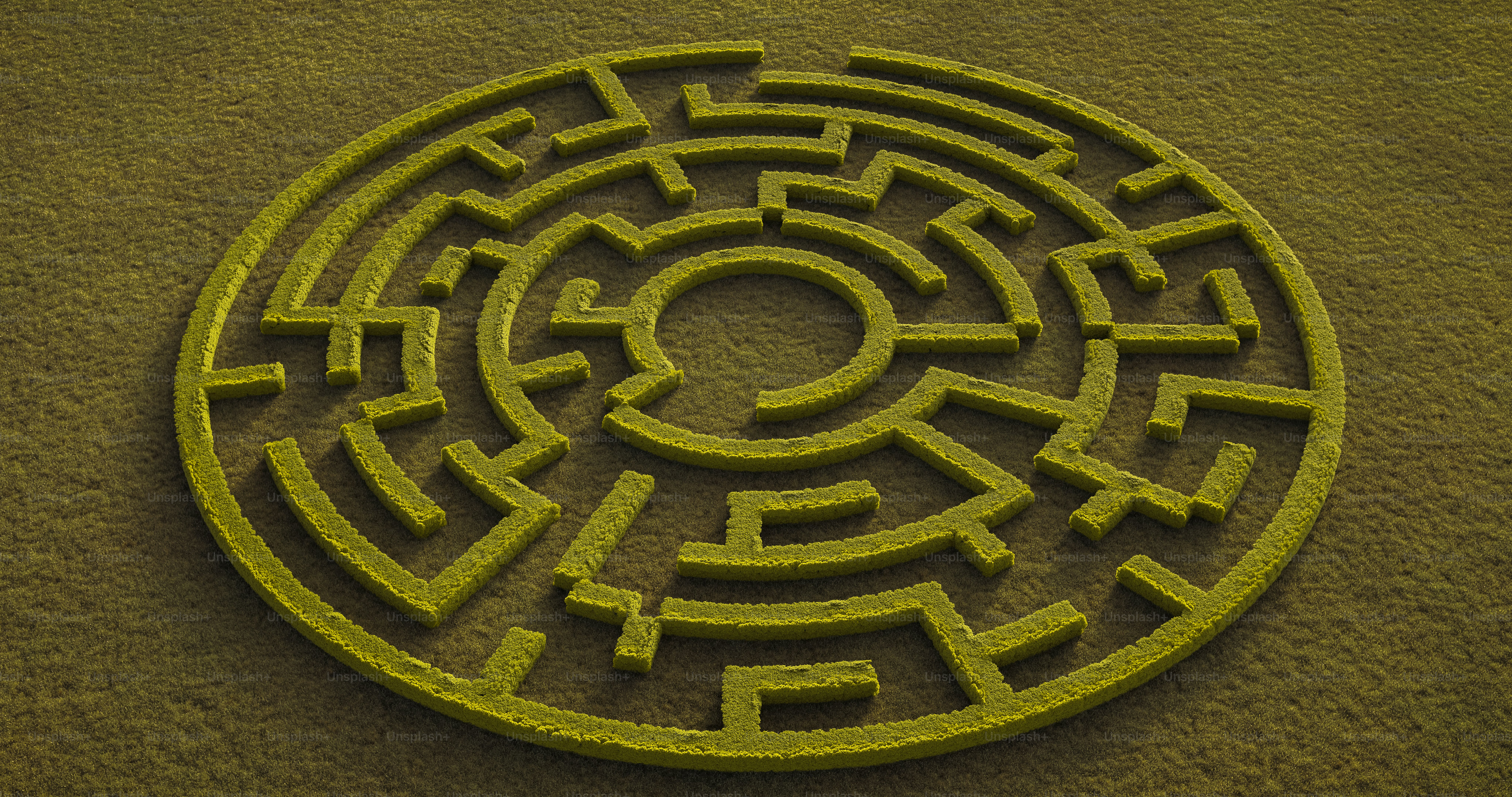A 3D render of a circular hedge maze with green foliage on a flat grassy field