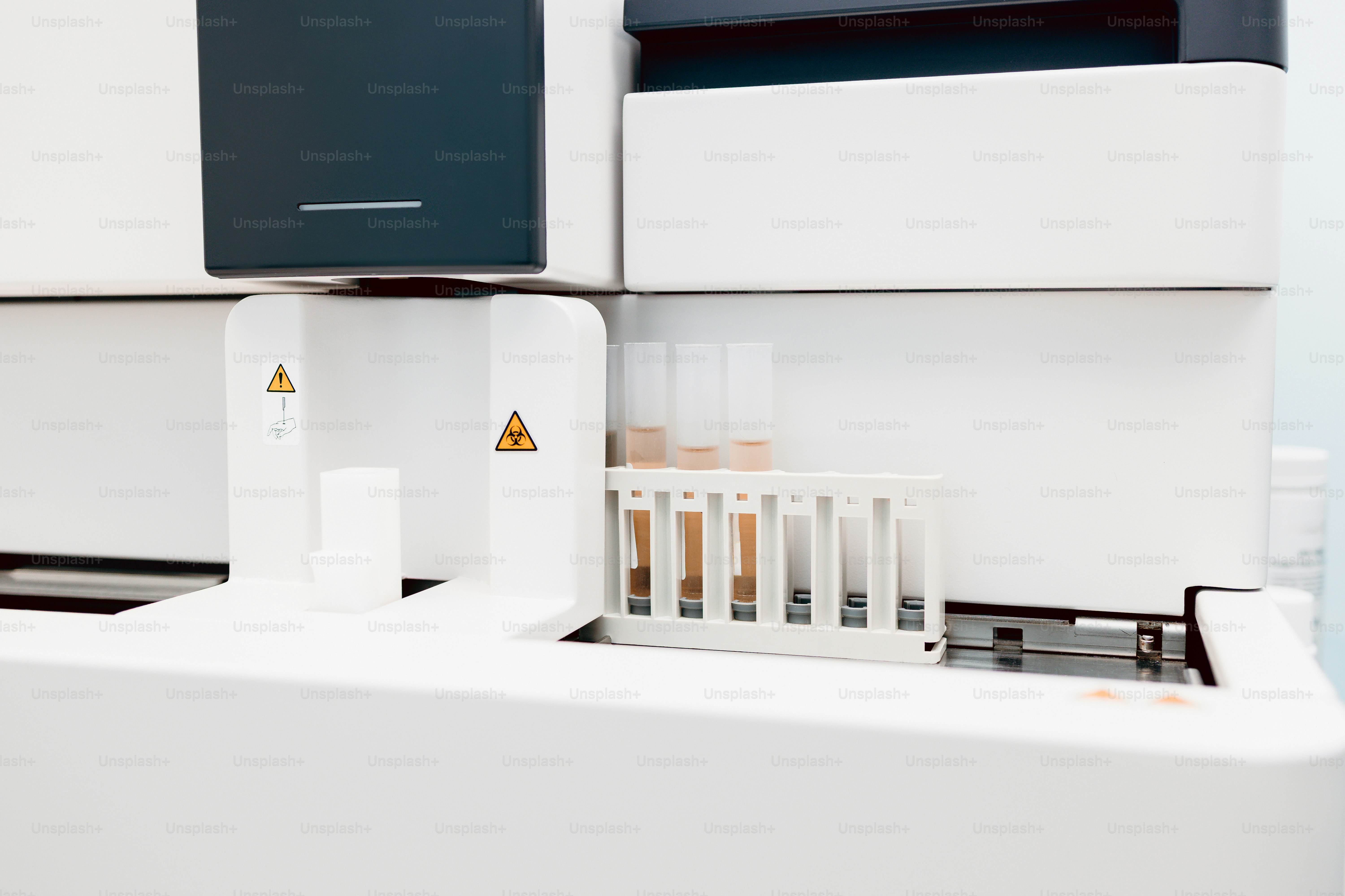 Test tubes in laboratory rack - Photo on Unsplash+