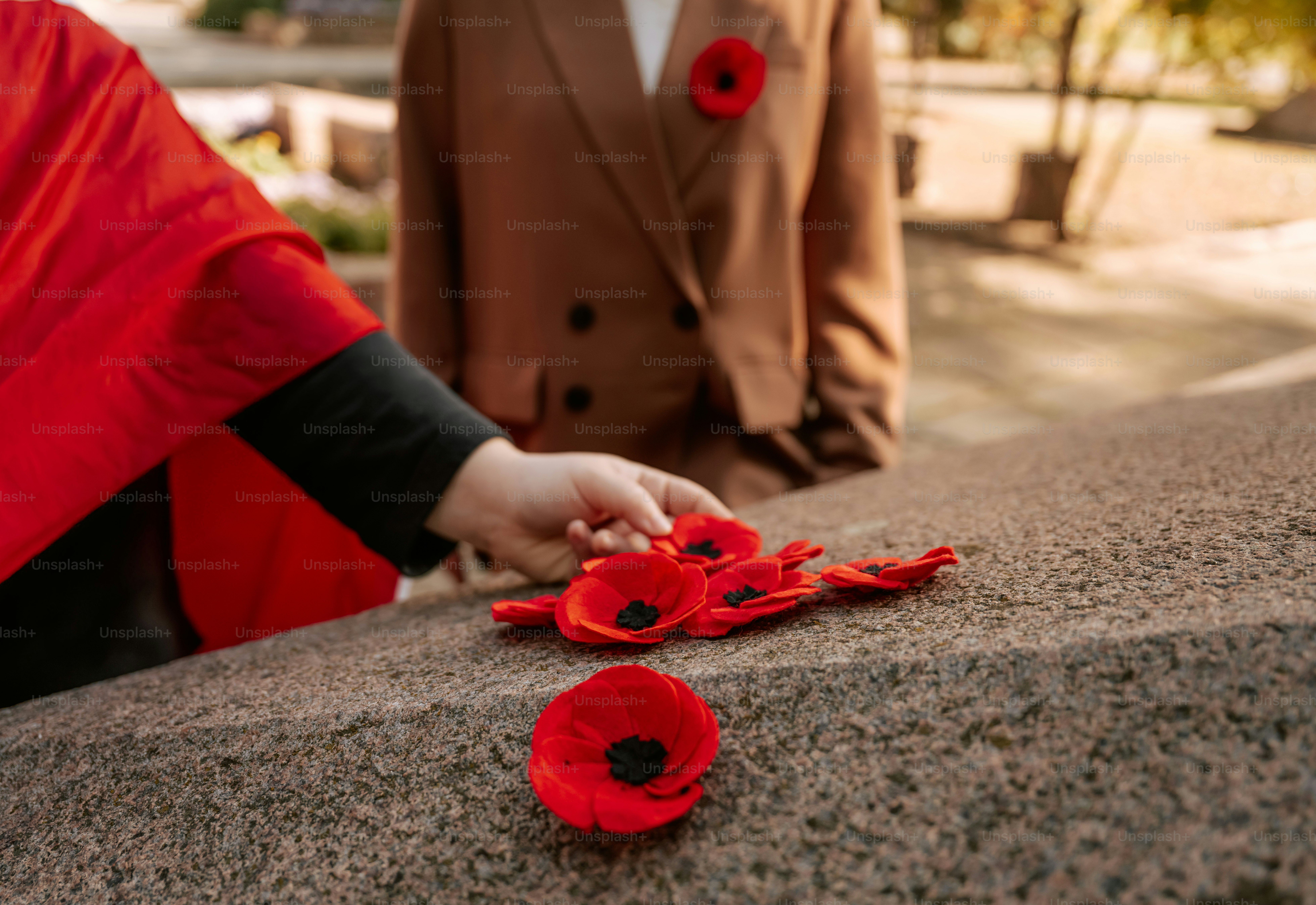 Red poppy flowers on stone monument - Photo on Unsplash+