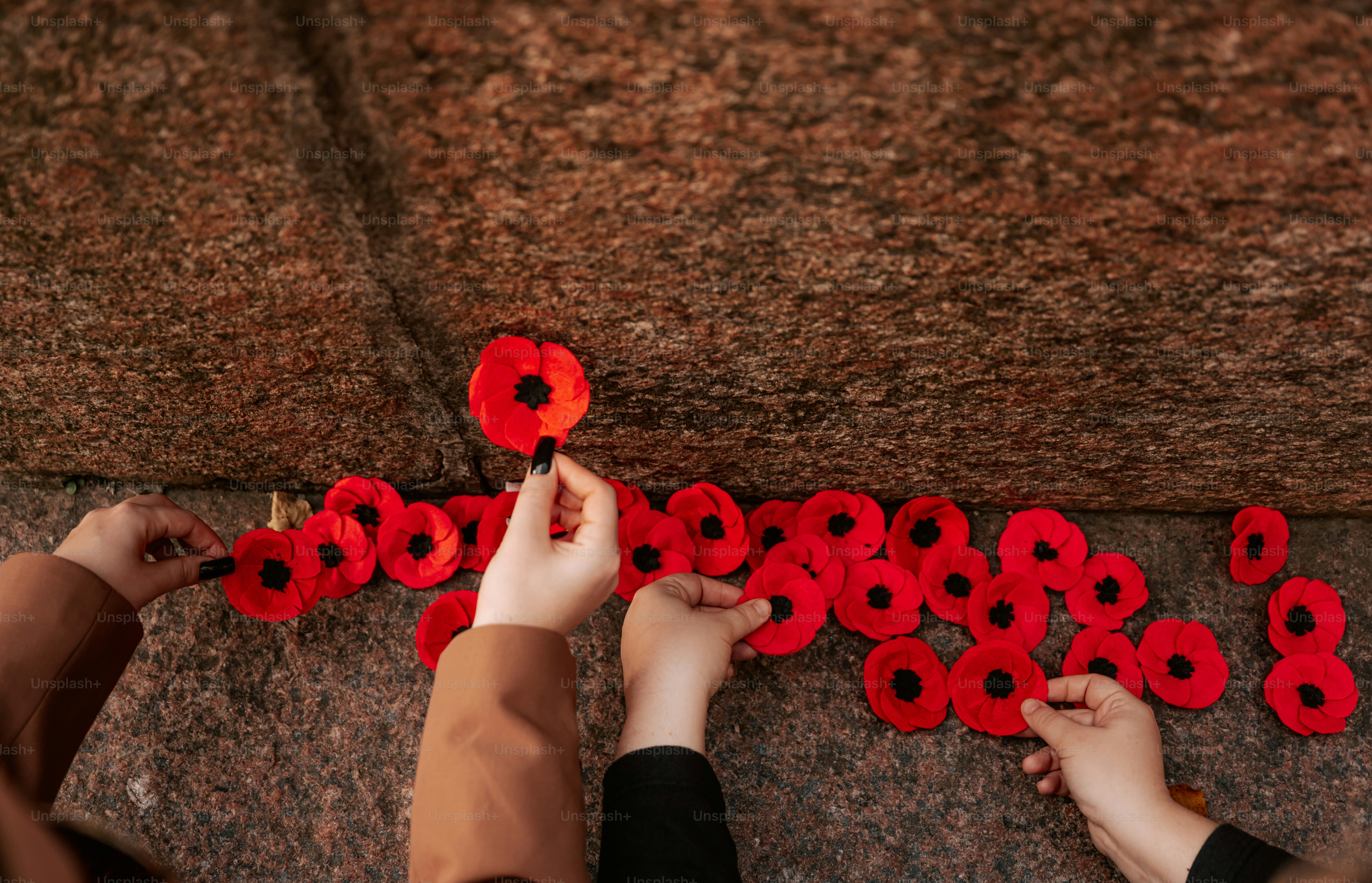 Red poppy flowers on stone monument - Photo on Unsplash+