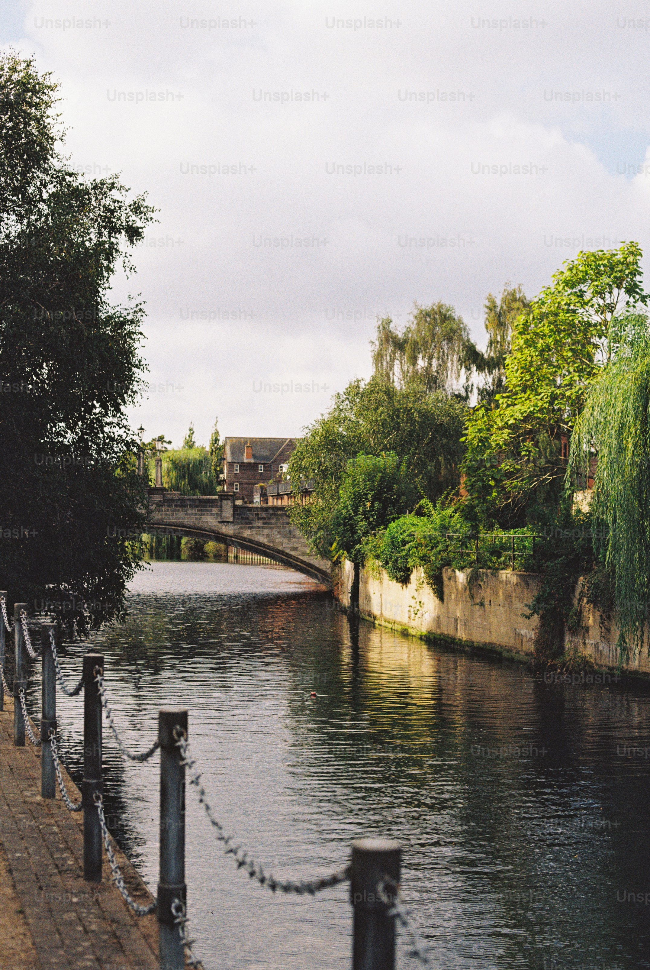 A stone arch bridge over a calm river lined with lush green trees and foliage