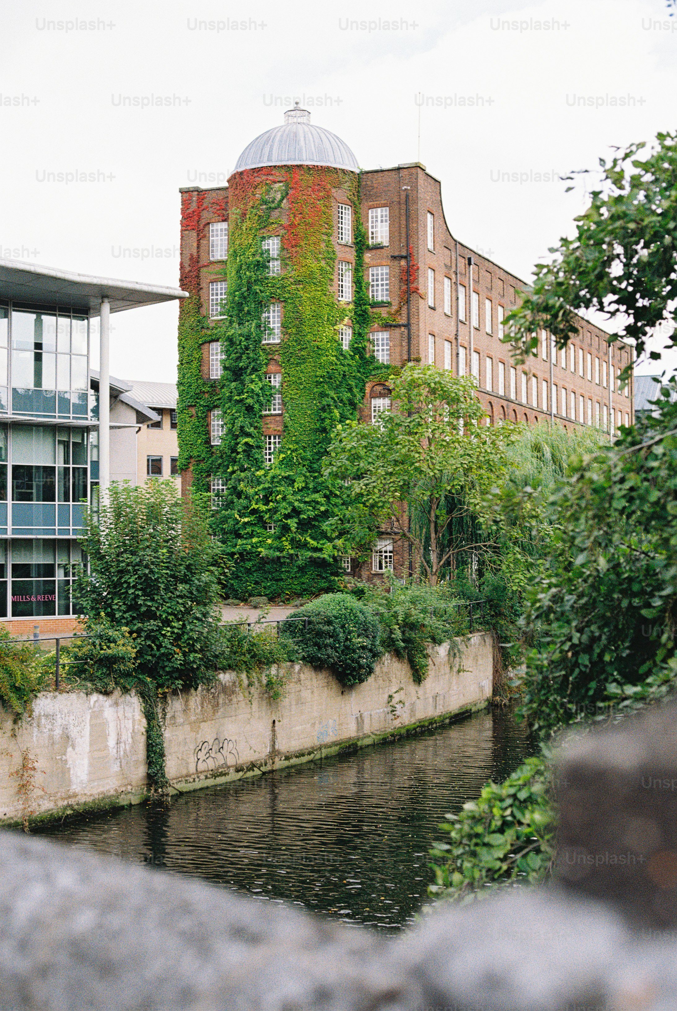 A brick building covered in green and red ivy beside a canal with a stone wall