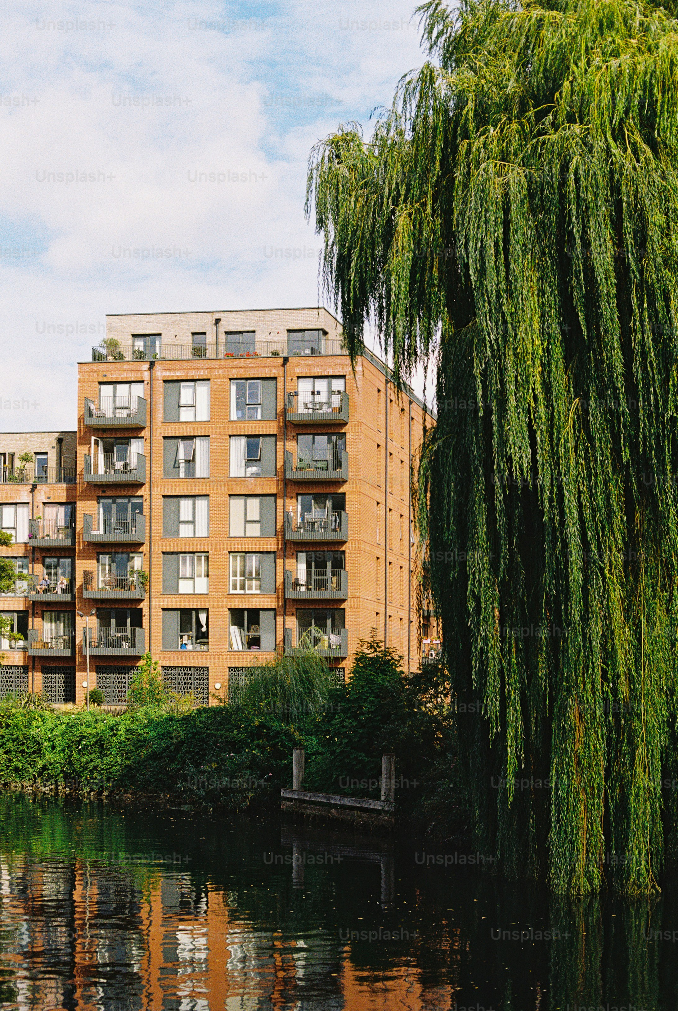 A modern brick apartment building with balconies beside a large weeping willow tree near a canal