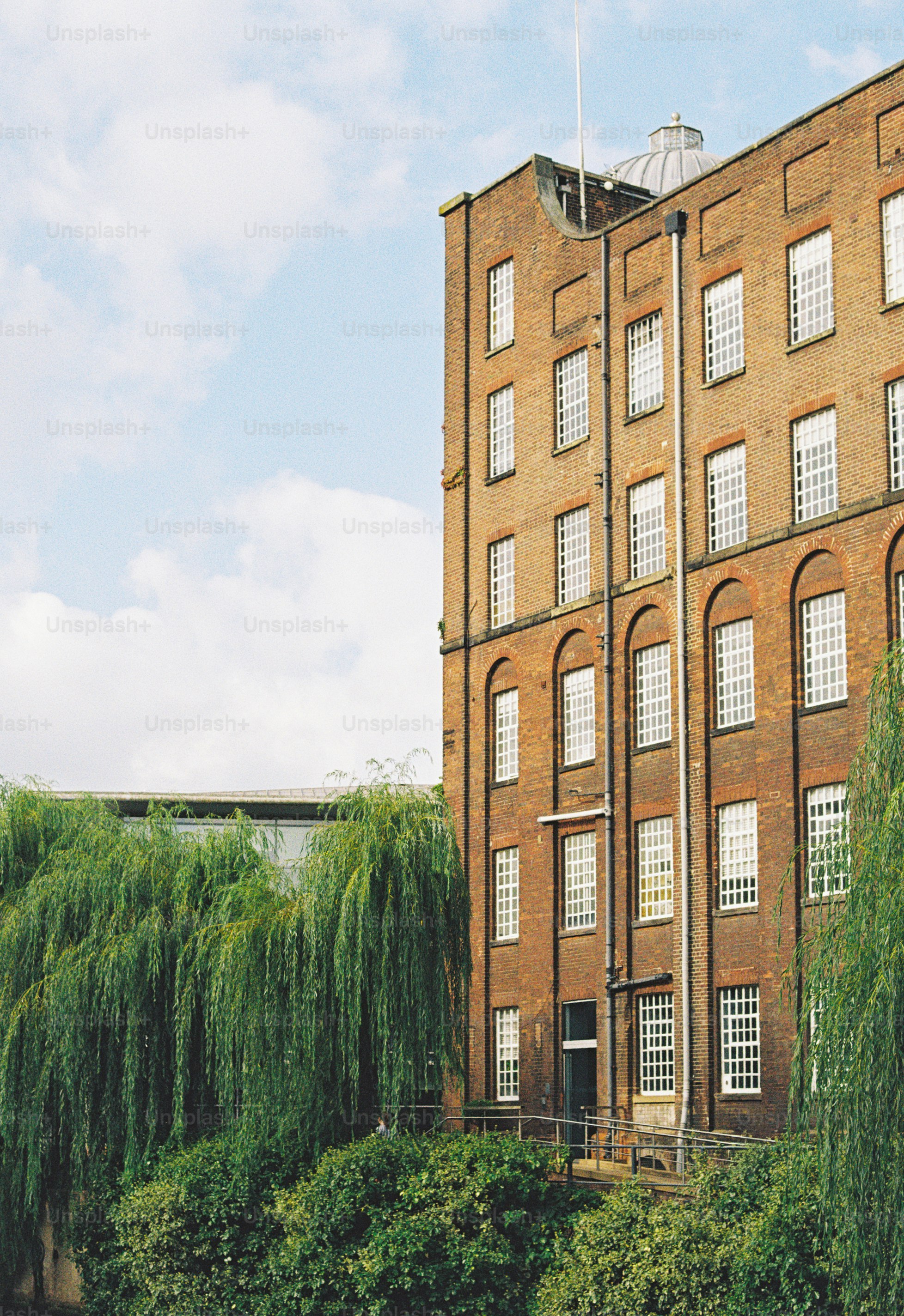 A tall brick industrial building with many windows behind weeping willow trees under a blue sky
