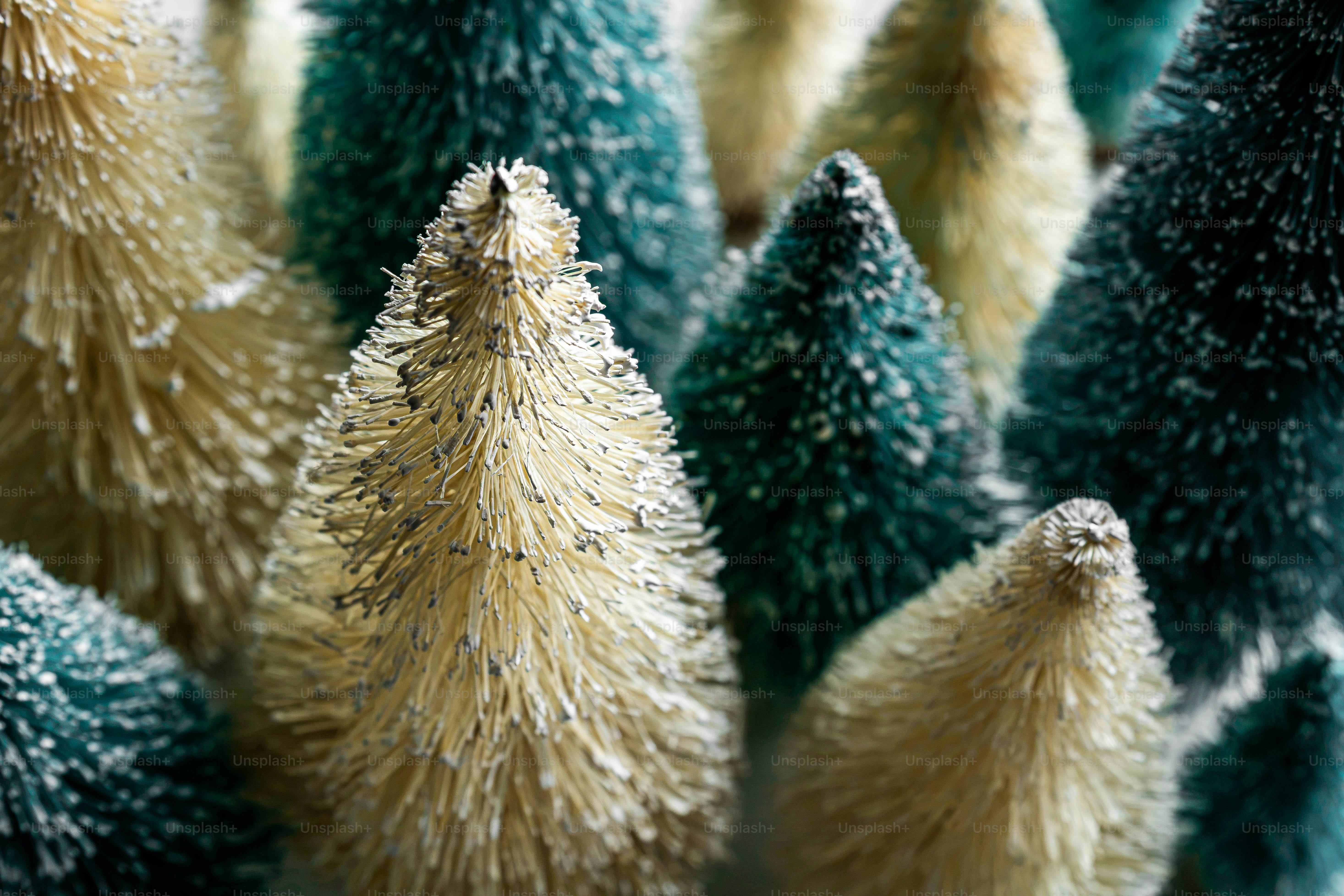 Una colección de pequeños árboles de Navidad de brocha crema y verde oscuro