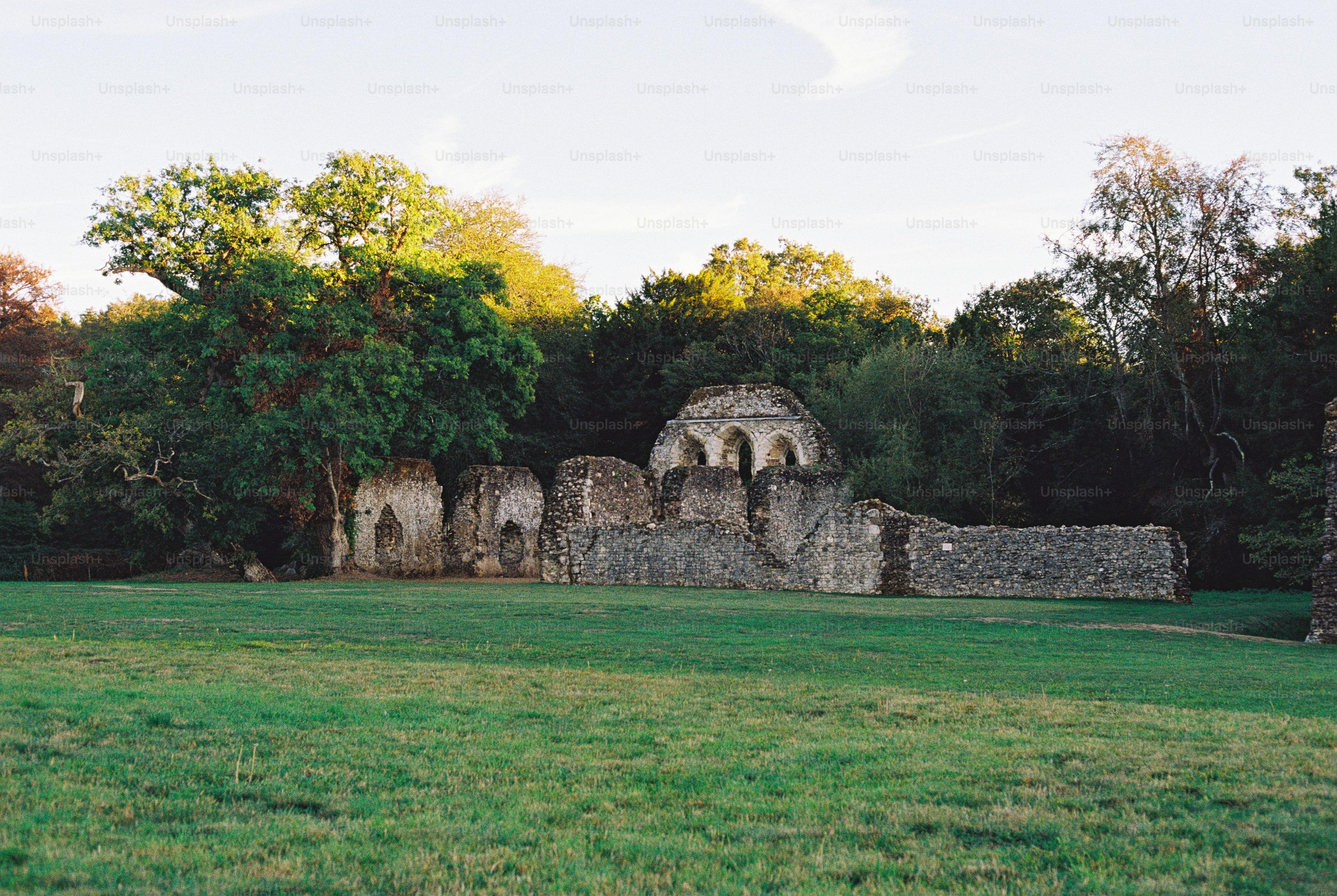 Stone ruins of an ancient building in a grassy field surrounded by dense trees