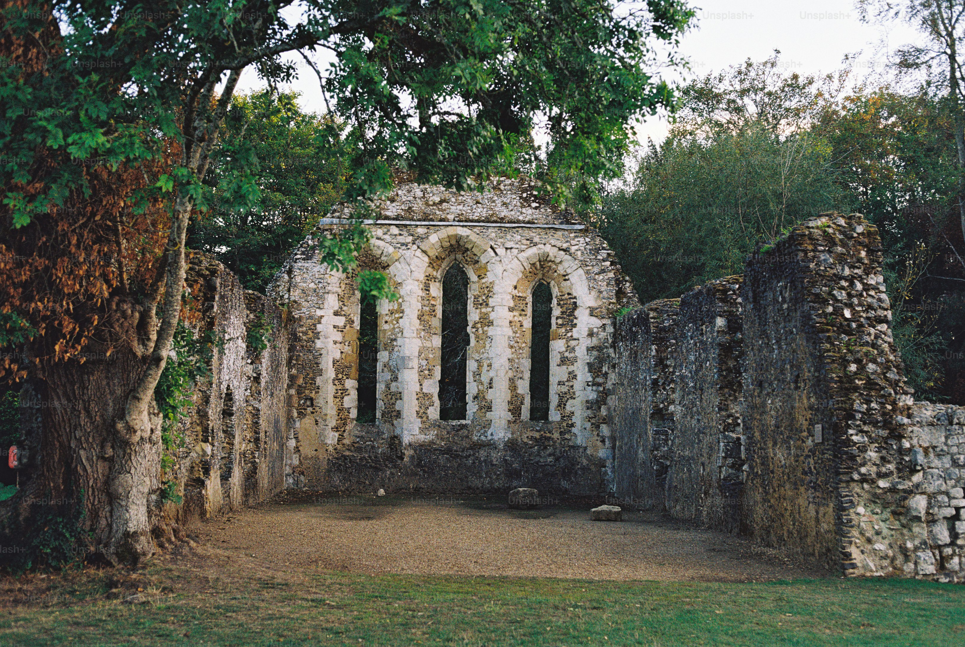 Stone ruins of an ancient church with arched windows surrounded by green trees