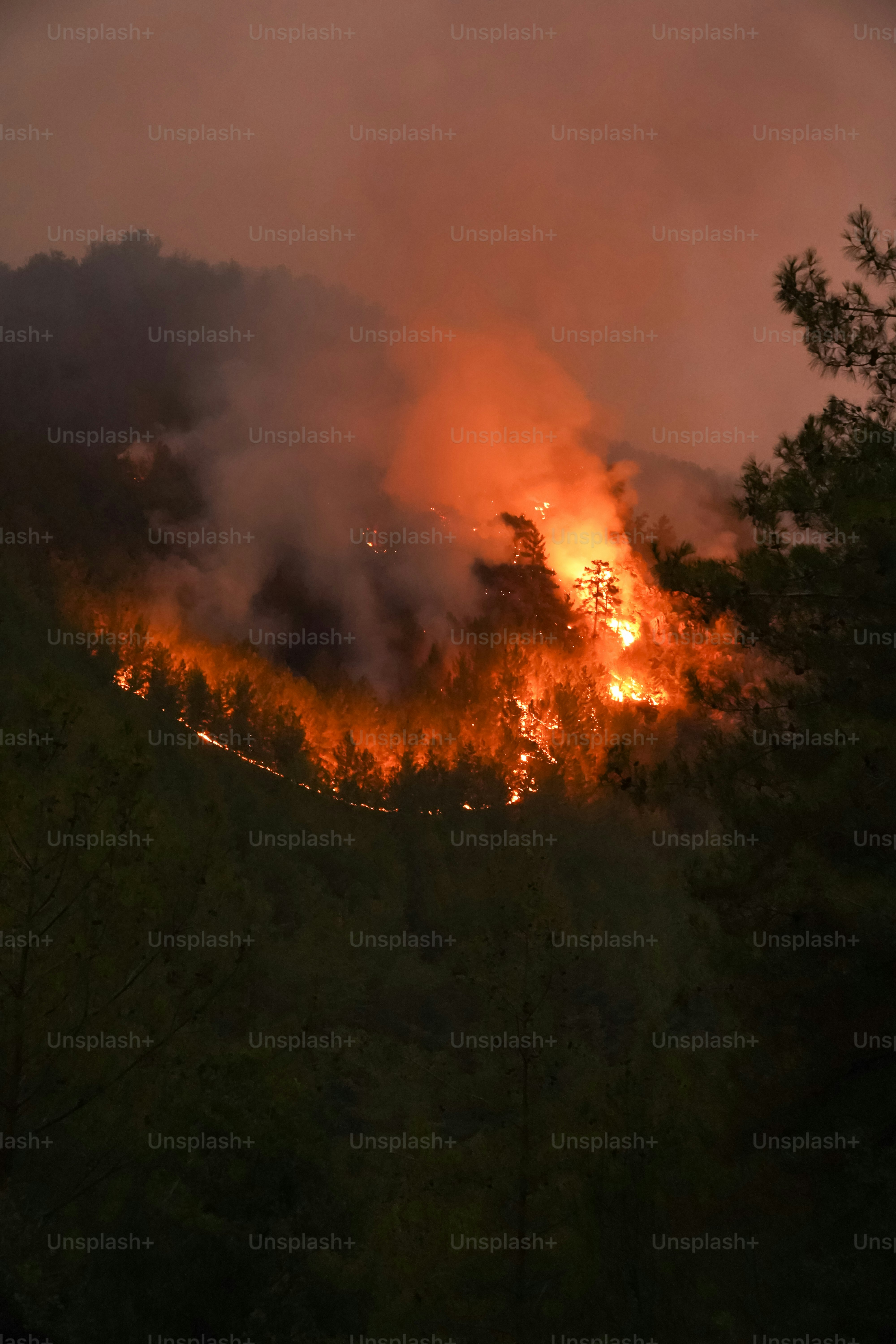 Incendio forestal en una ladera oscura - Foto en Unsplash+