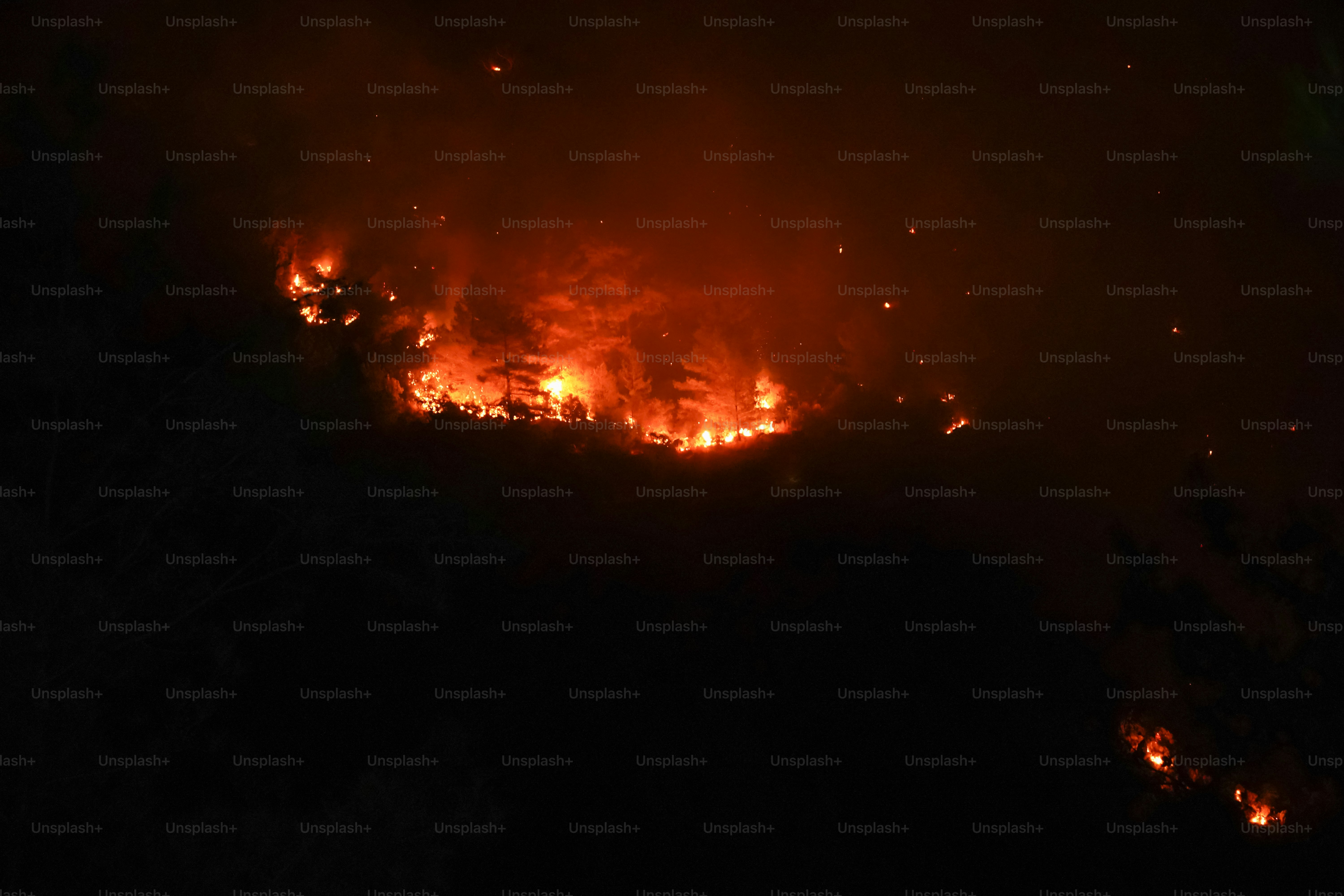Forest fire burning at night - Photo on Unsplash+