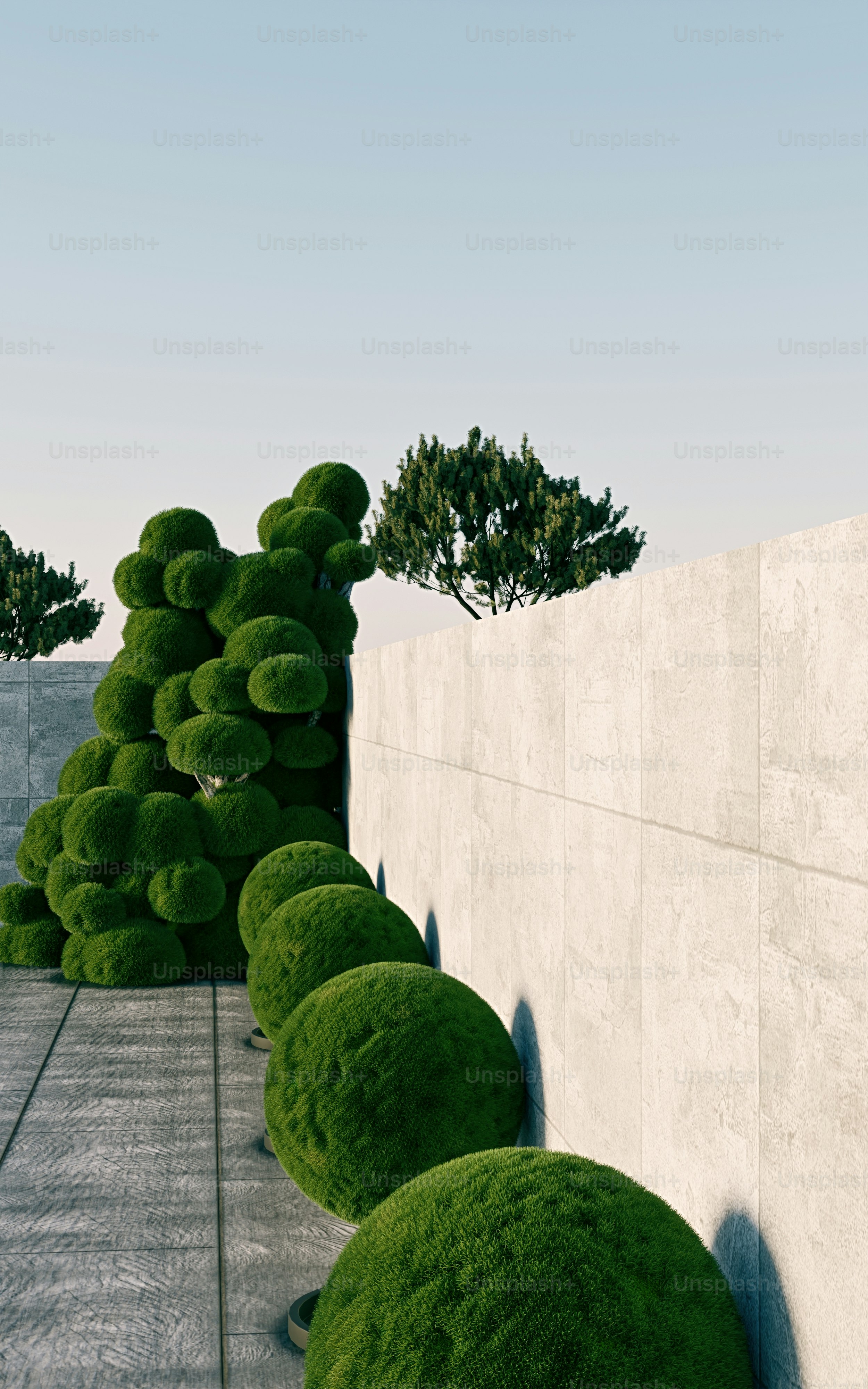 Un render 3D de arbustos topiarios esféricos junto a un muro de hormigón en un patio de baldosas